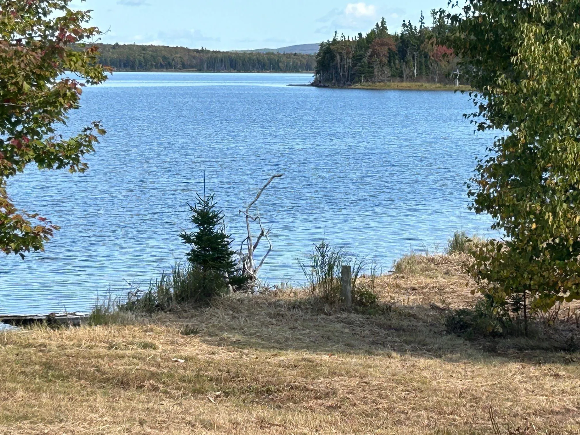 8080 Marble Mountain Road, Malagawatch Ns B0e 2y0, ,Land,For Sale,Marble Mountain,202423992
