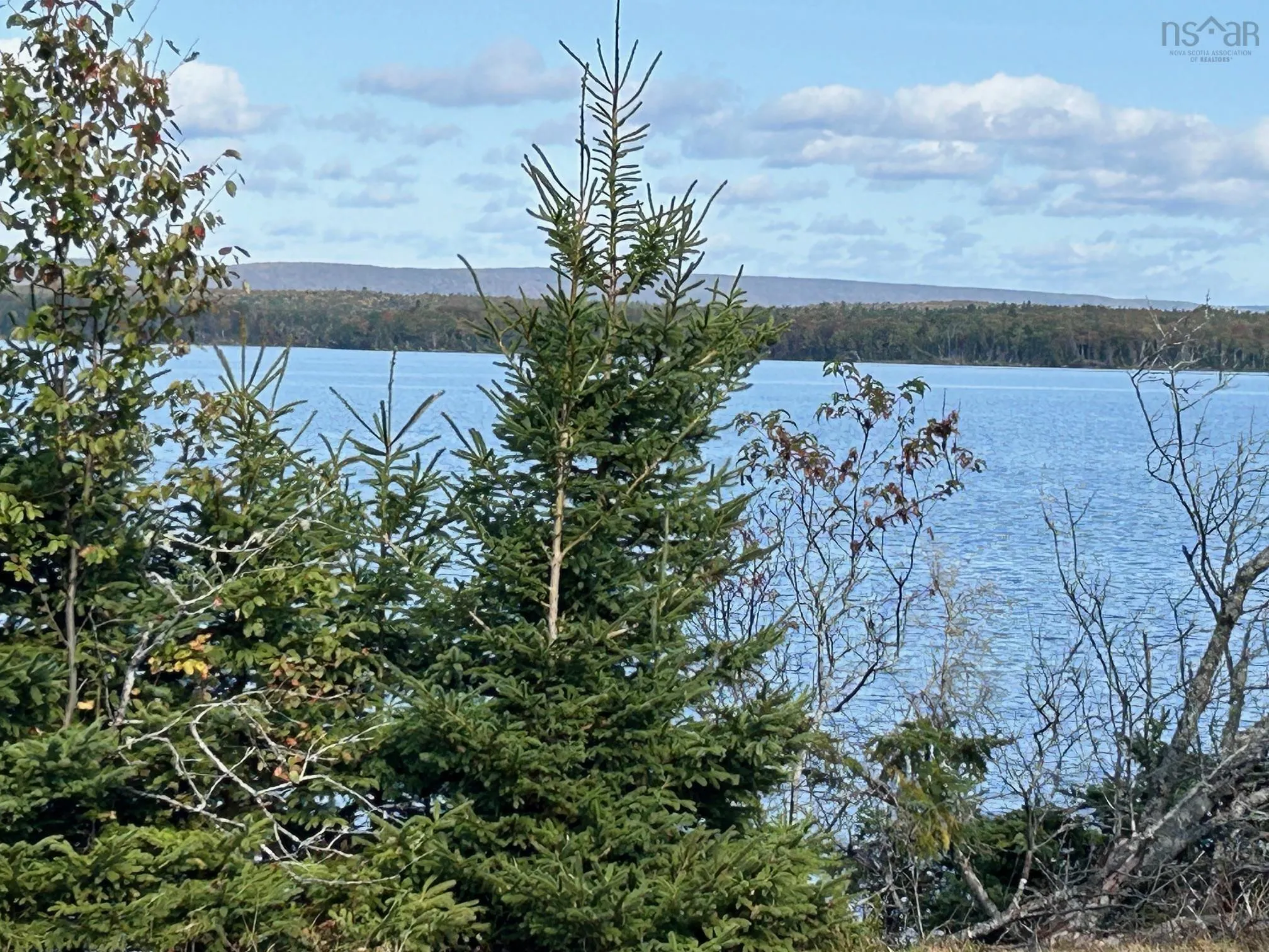 8080 Marble Mountain Road, Malagawatch Ns B0e 2y0, ,Land,For Sale,Marble Mountain,202423992