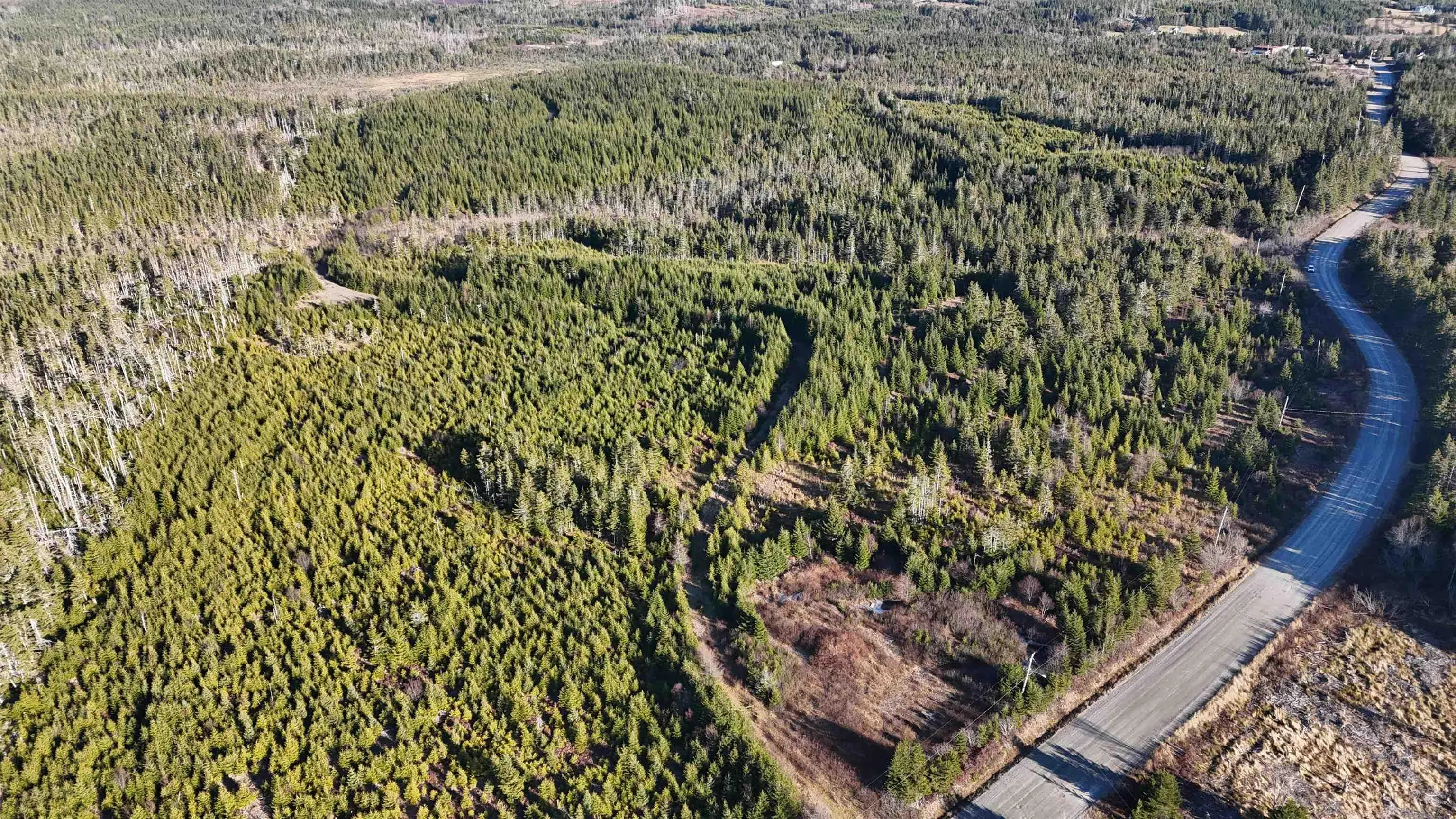 401 East Side Grand River Road, Grand River Ns B0e 1m0, ,Land,For Sale,East Side Grand River,202500170