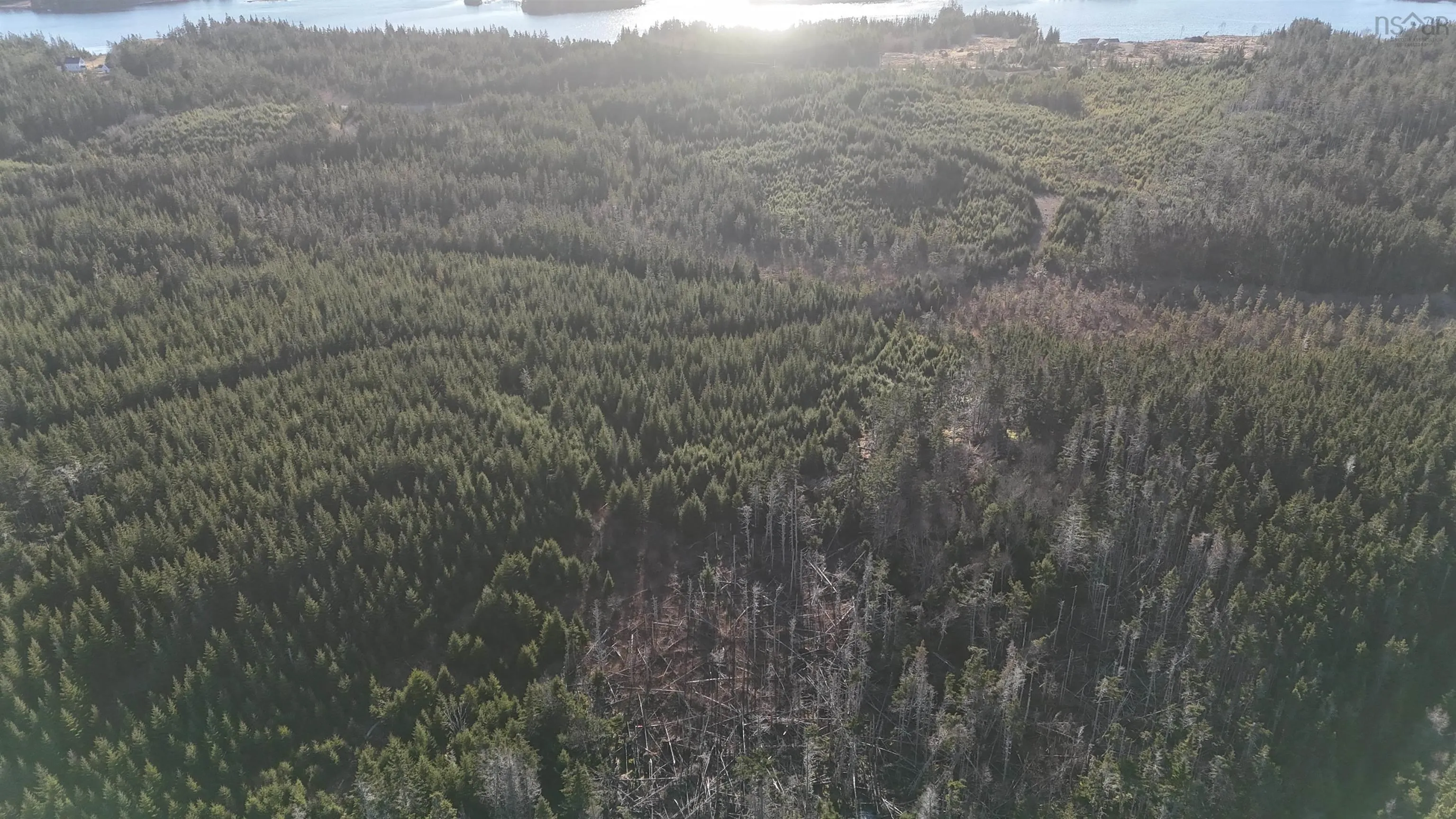 401 East Side Grand River Road, Grand River Ns B0e 1m0, ,Land,For Sale,East Side Grand River,202500170