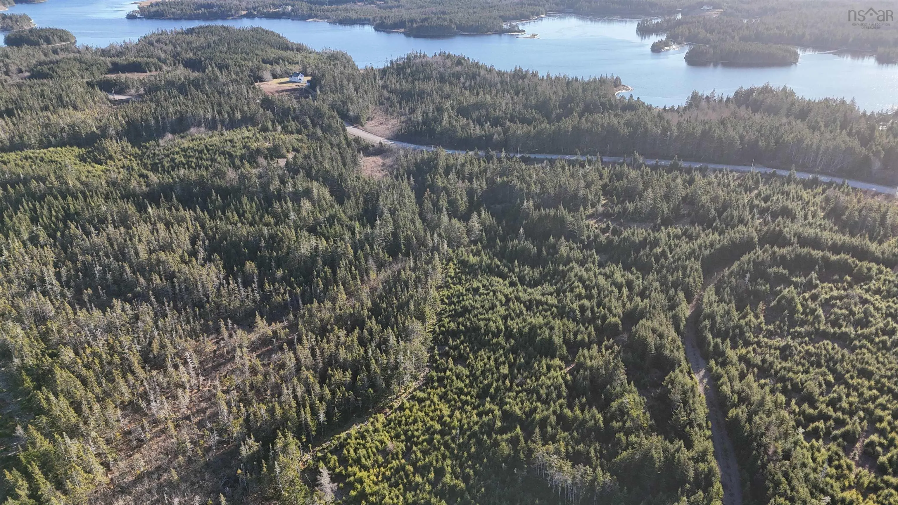 401 East Side Grand River Road, Grand River Ns B0e 1m0, ,Land,For Sale,East Side Grand River,202500170