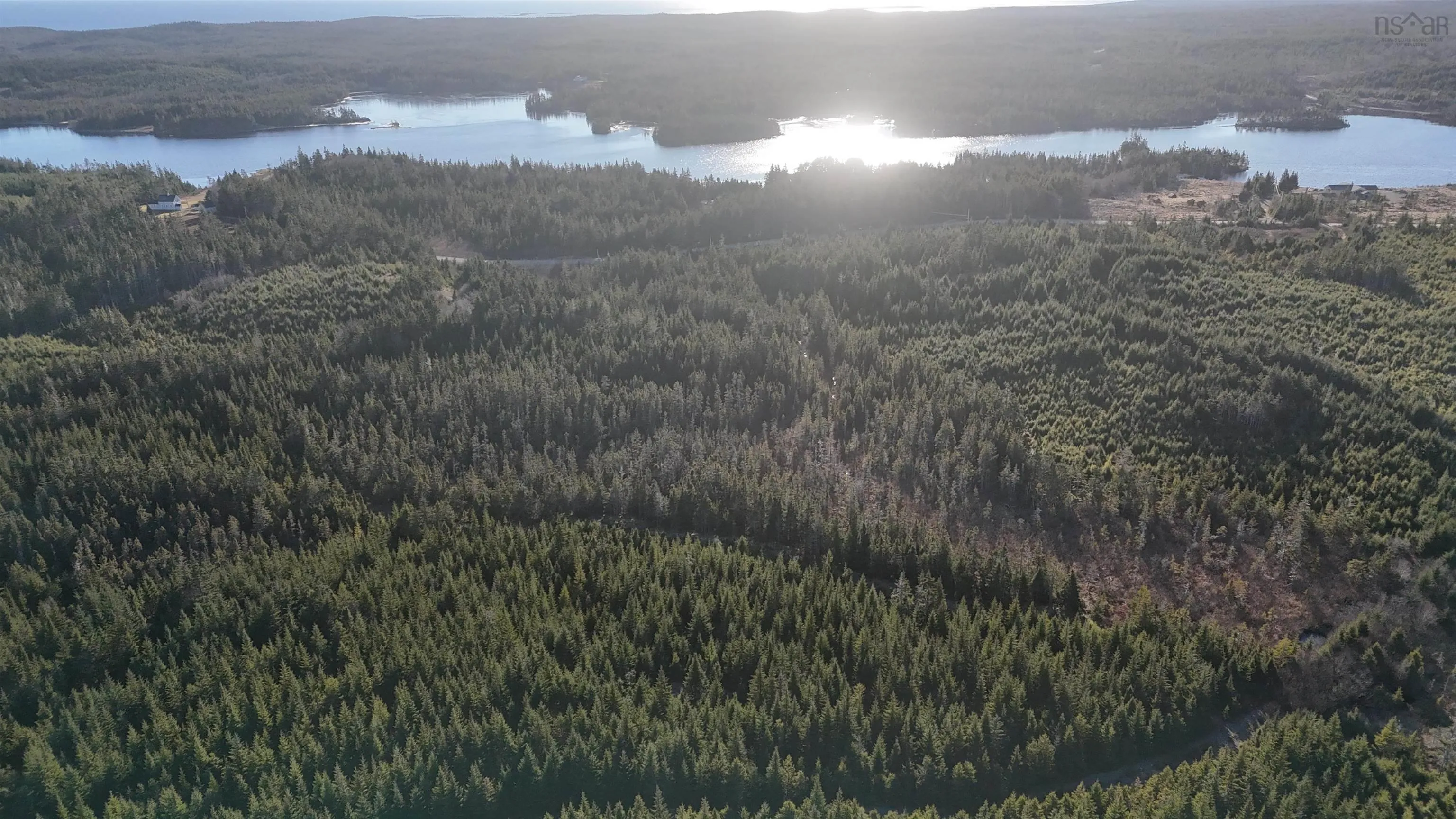401 East Side Grand River Road, Grand River Ns B0e 1m0, ,Land,For Sale,East Side Grand River,202500170