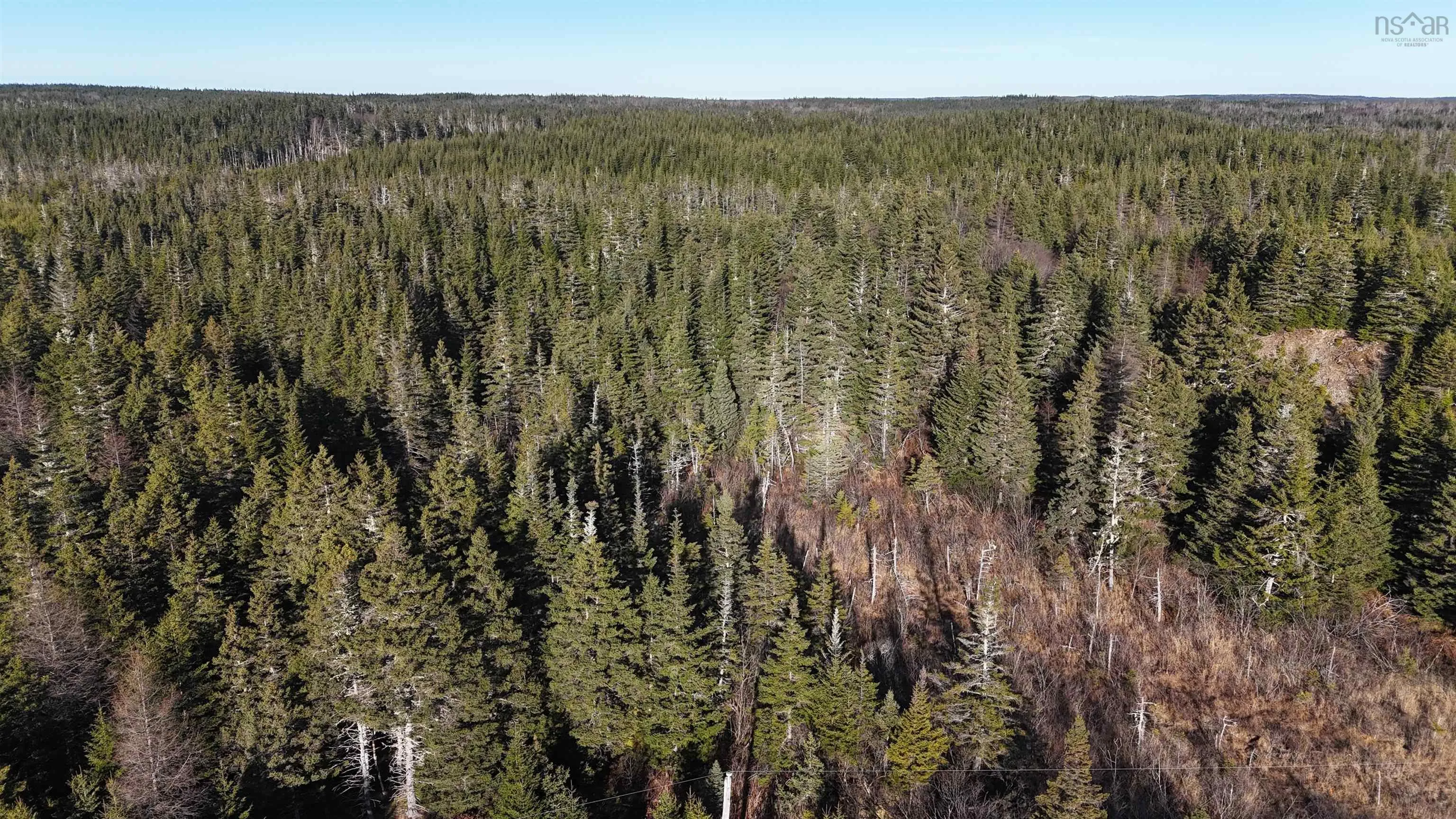 401 East Side Grand River Road, Grand River Ns B0e 1m0, ,Land,For Sale,East Side Grand River,202500170