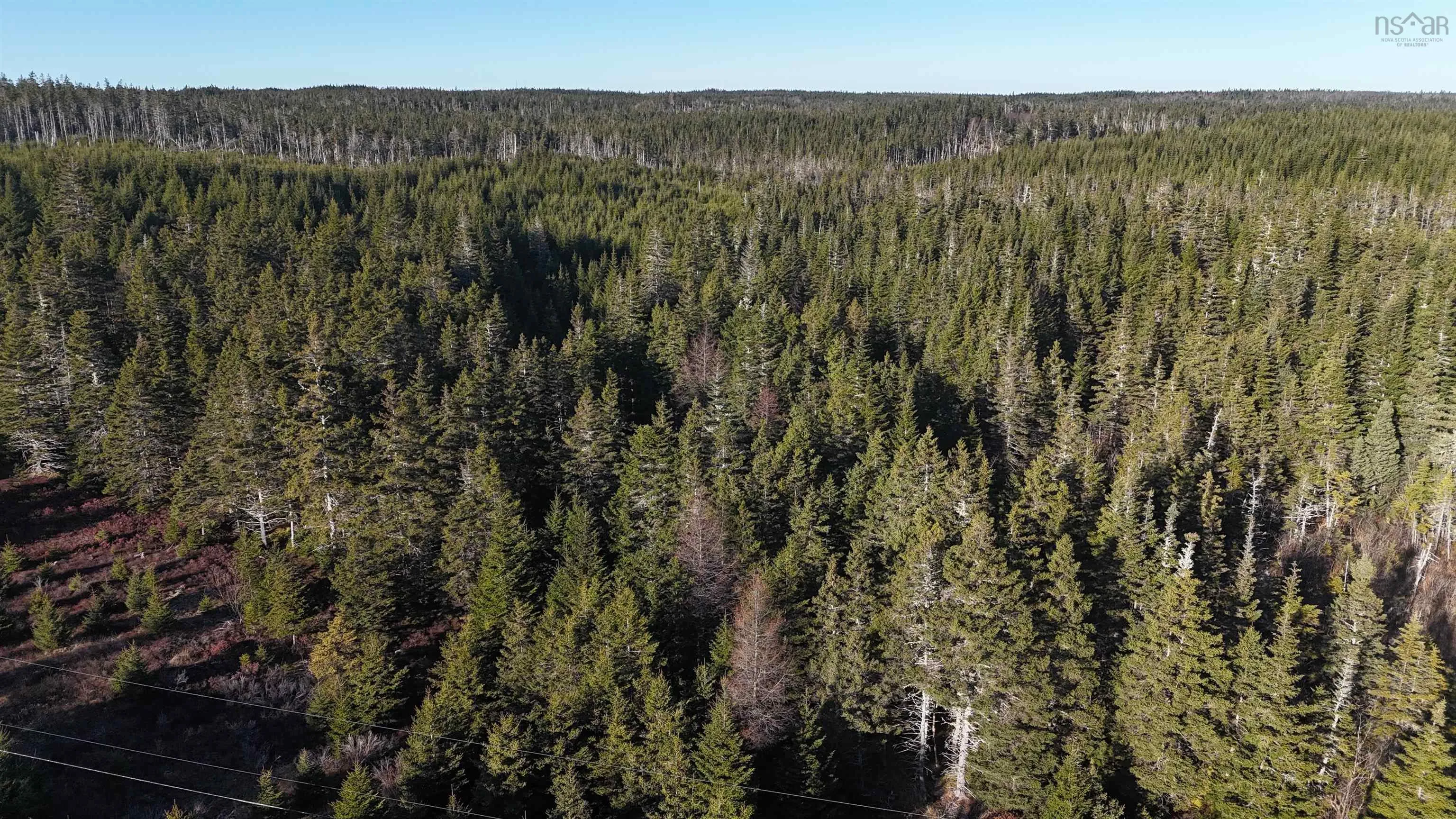 401 East Side Grand River Road, Grand River Ns B0e 1m0, ,Land,For Sale,East Side Grand River,202500170