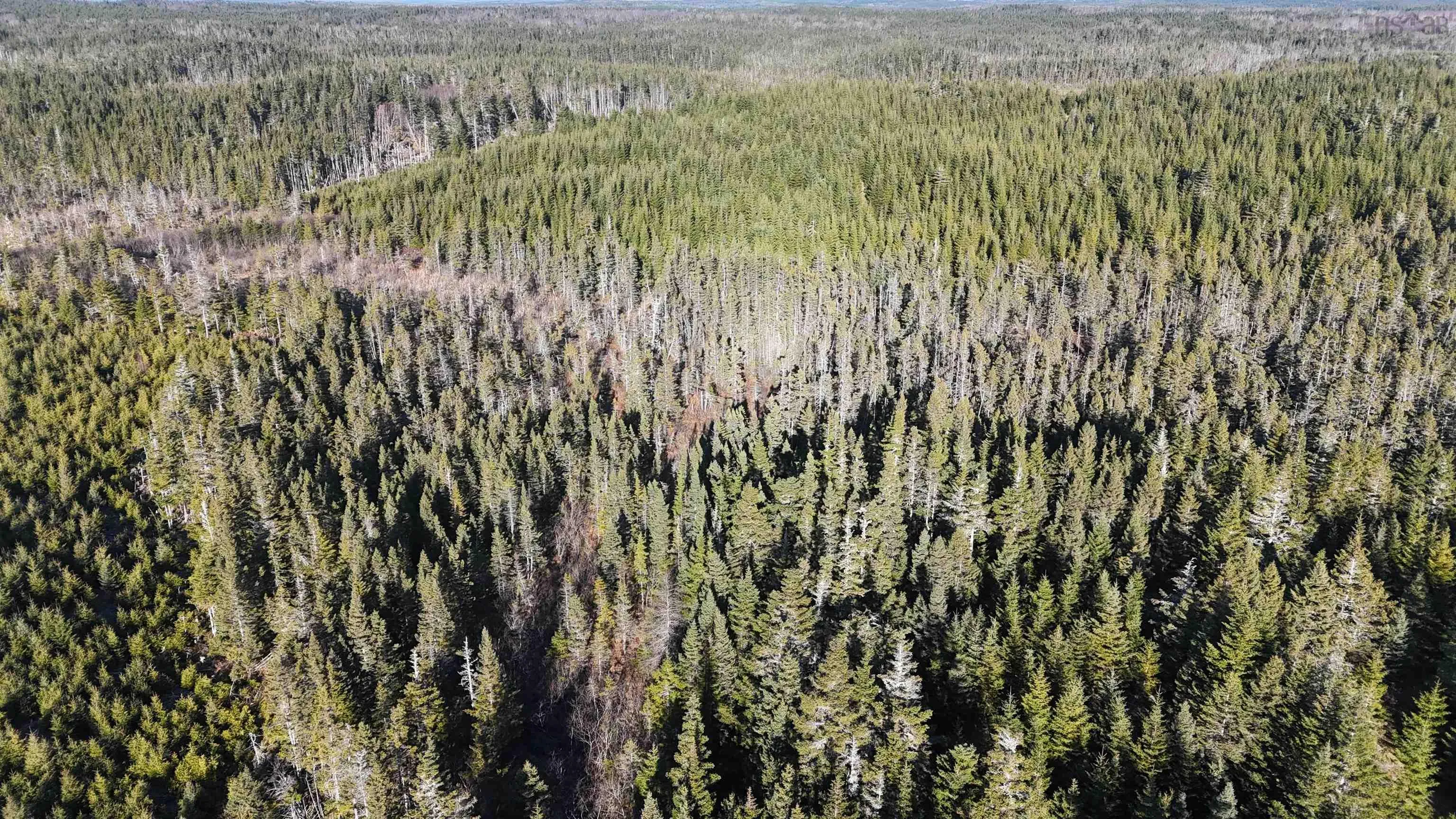 401 East Side Grand River Road, Grand River Ns B0e 1m0, ,Land,For Sale,East Side Grand River,202500170