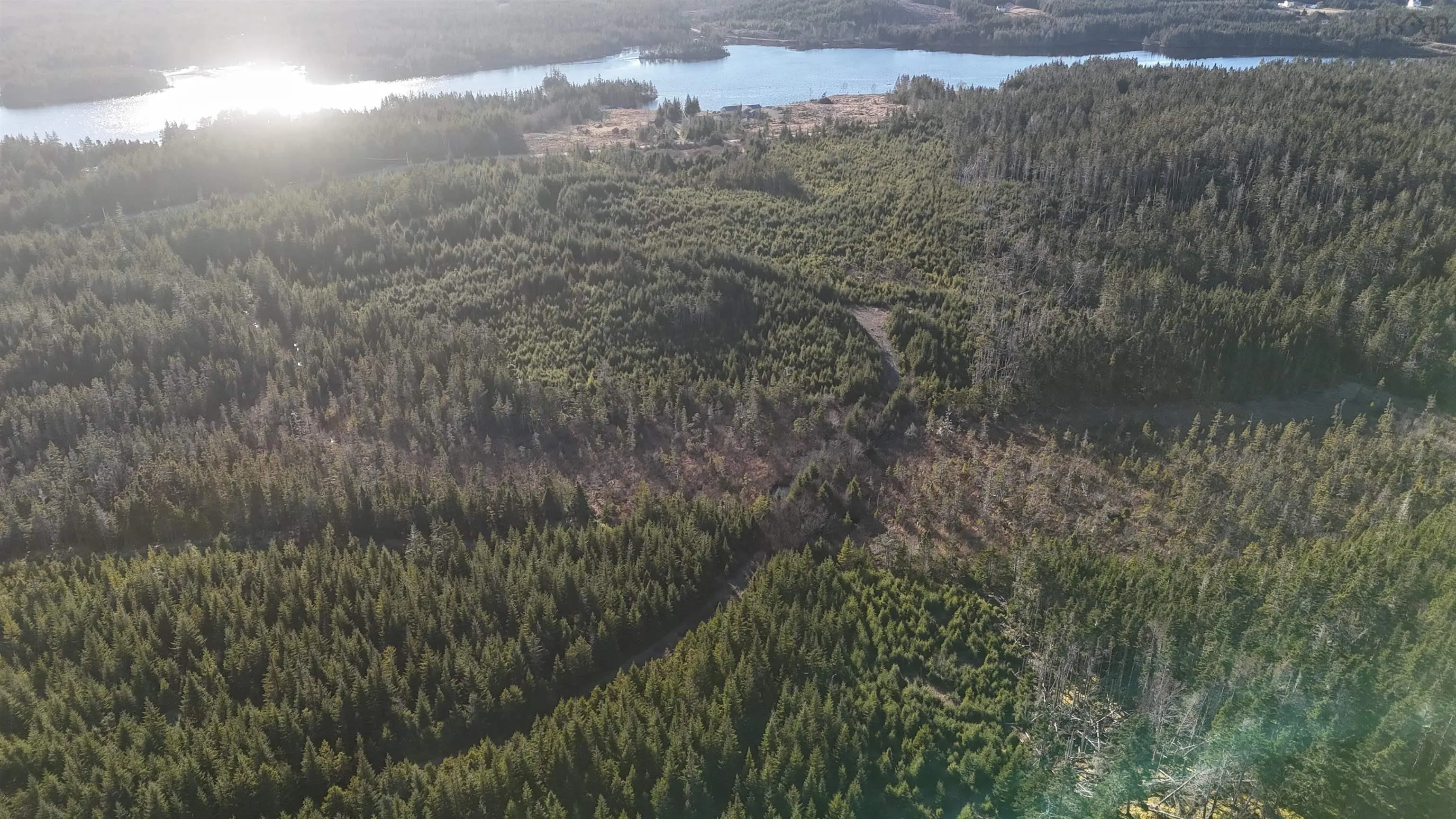 401 East Side Grand River Road, Grand River Ns B0e 1m0, ,Land,For Sale,East Side Grand River,202500170