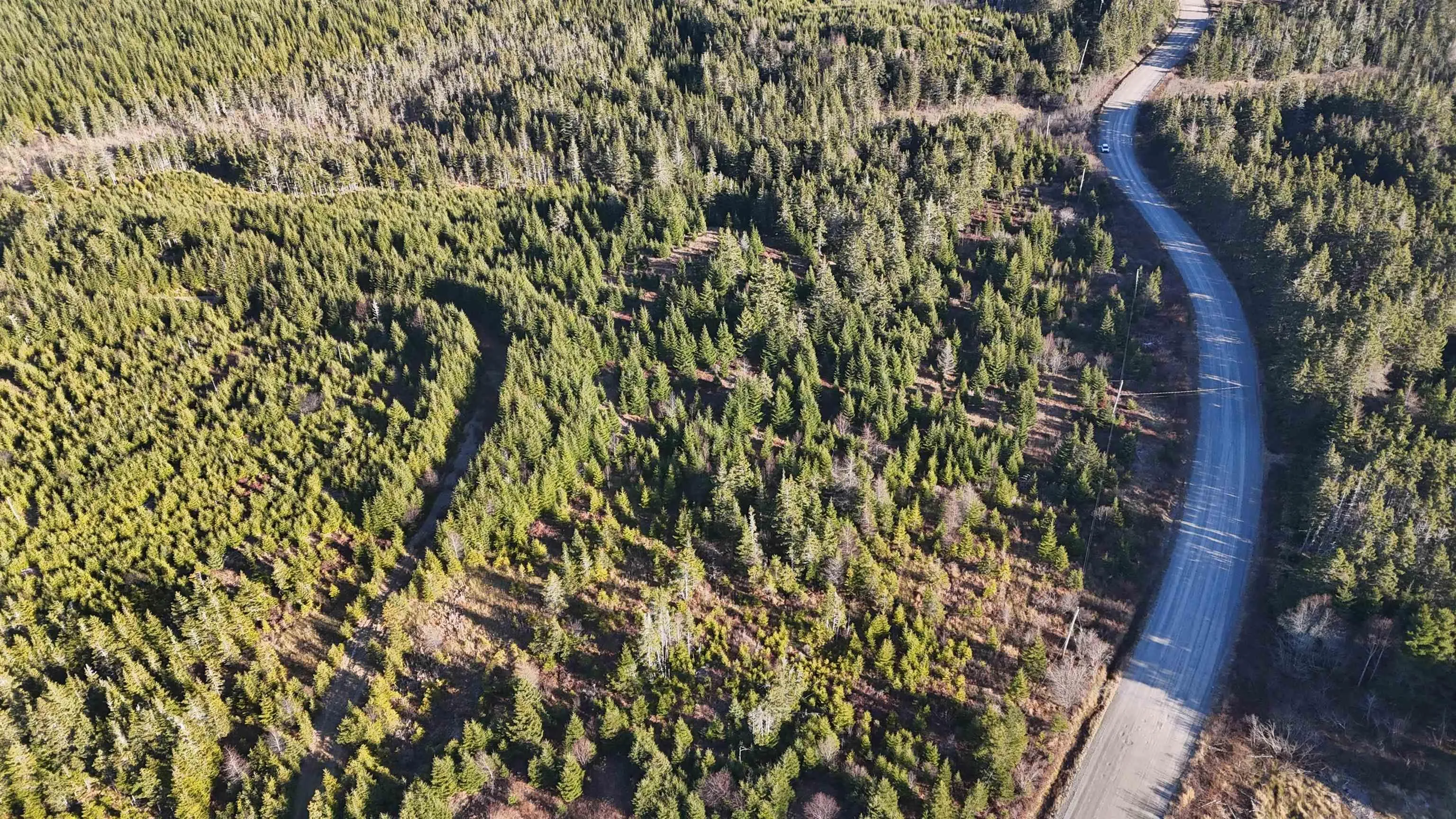 401 East Side Grand River Road, Grand River Ns B0e 1m0, ,Land,For Sale,East Side Grand River,202500170
