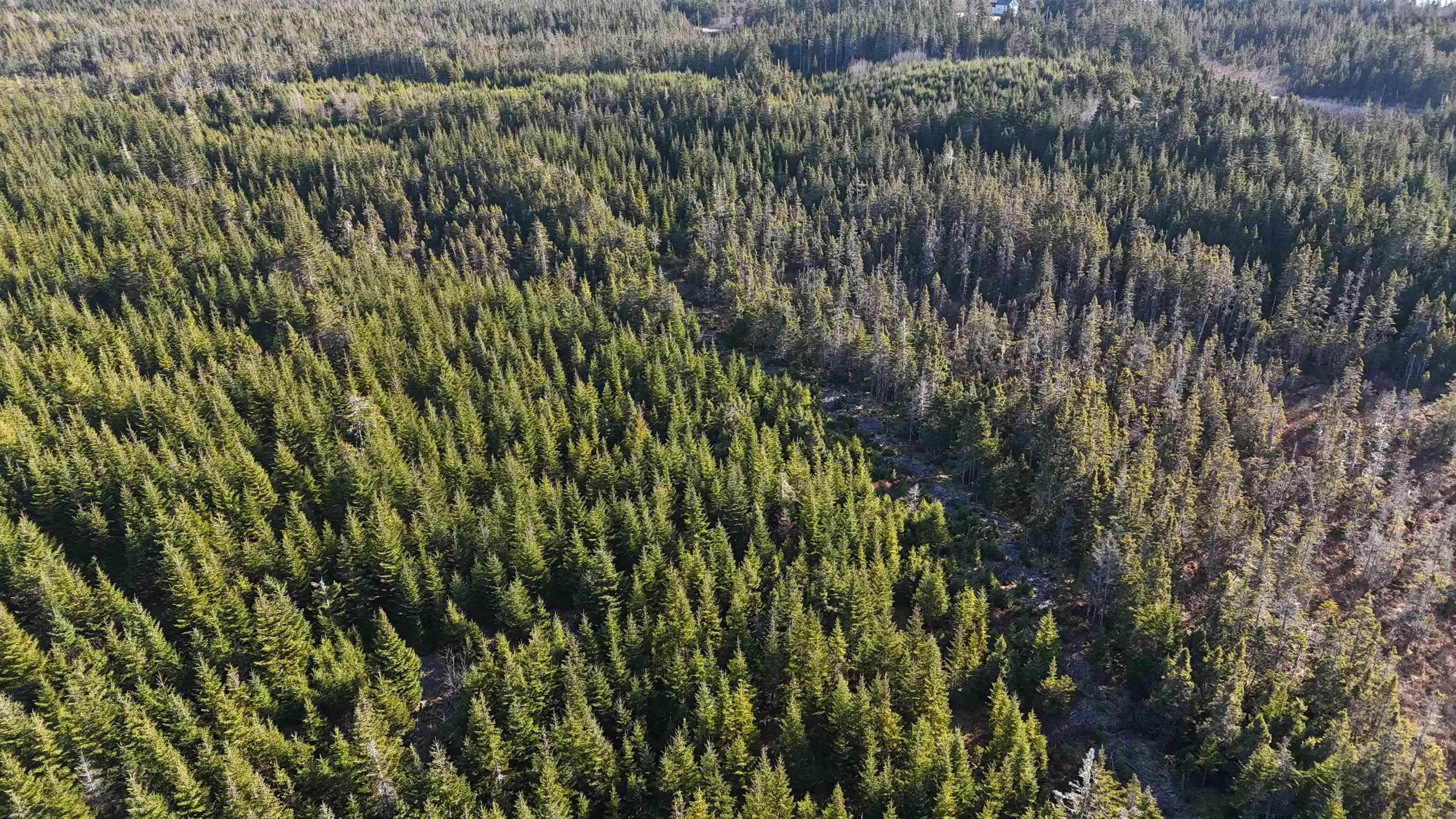 401 East Side Grand River Road, Grand River Ns B0e 1m0, ,Land,For Sale,East Side Grand River,202500170