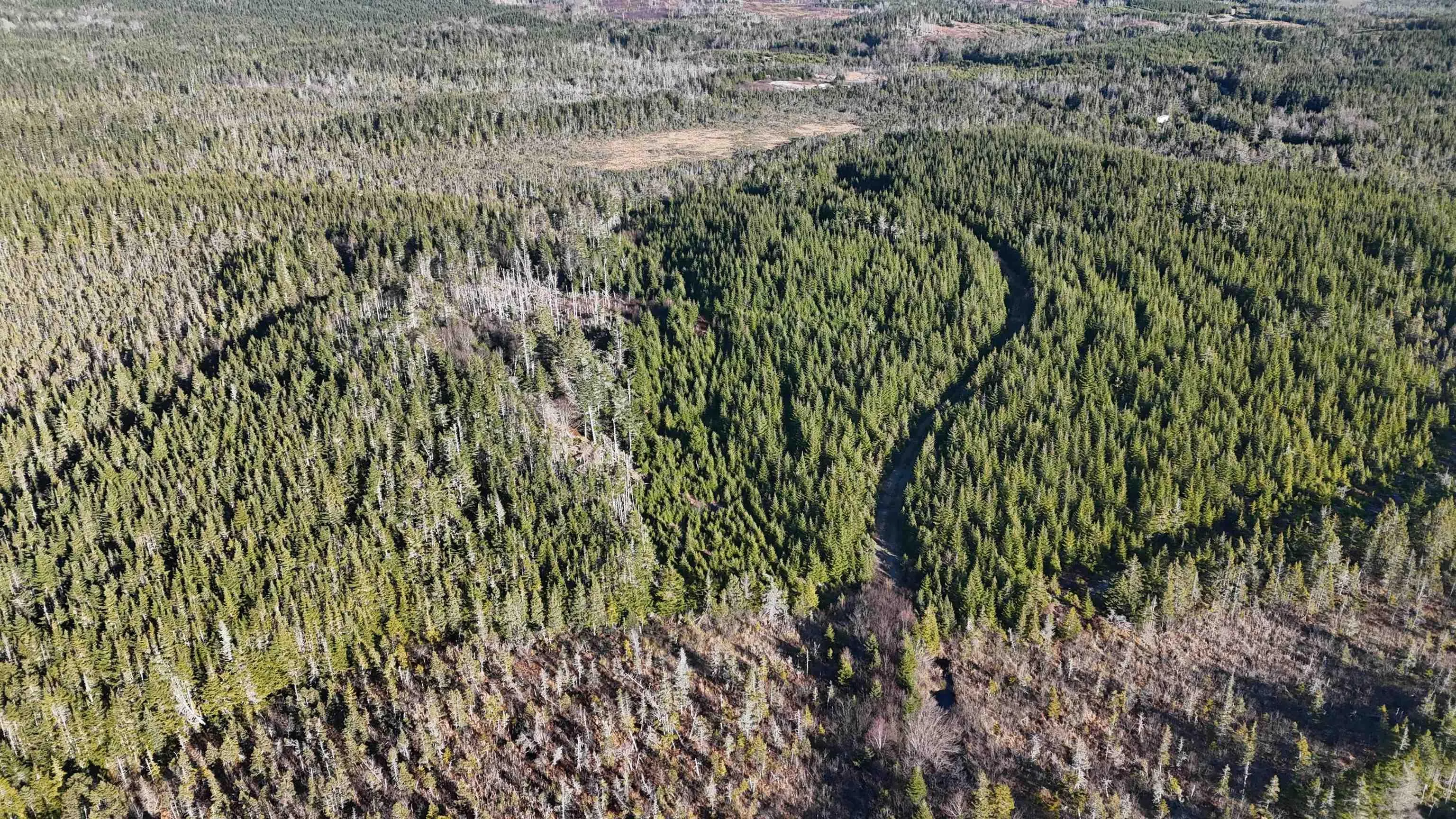 401 East Side Grand River Road, Grand River Ns B0e 1m0, ,Land,For Sale,East Side Grand River,202500170
