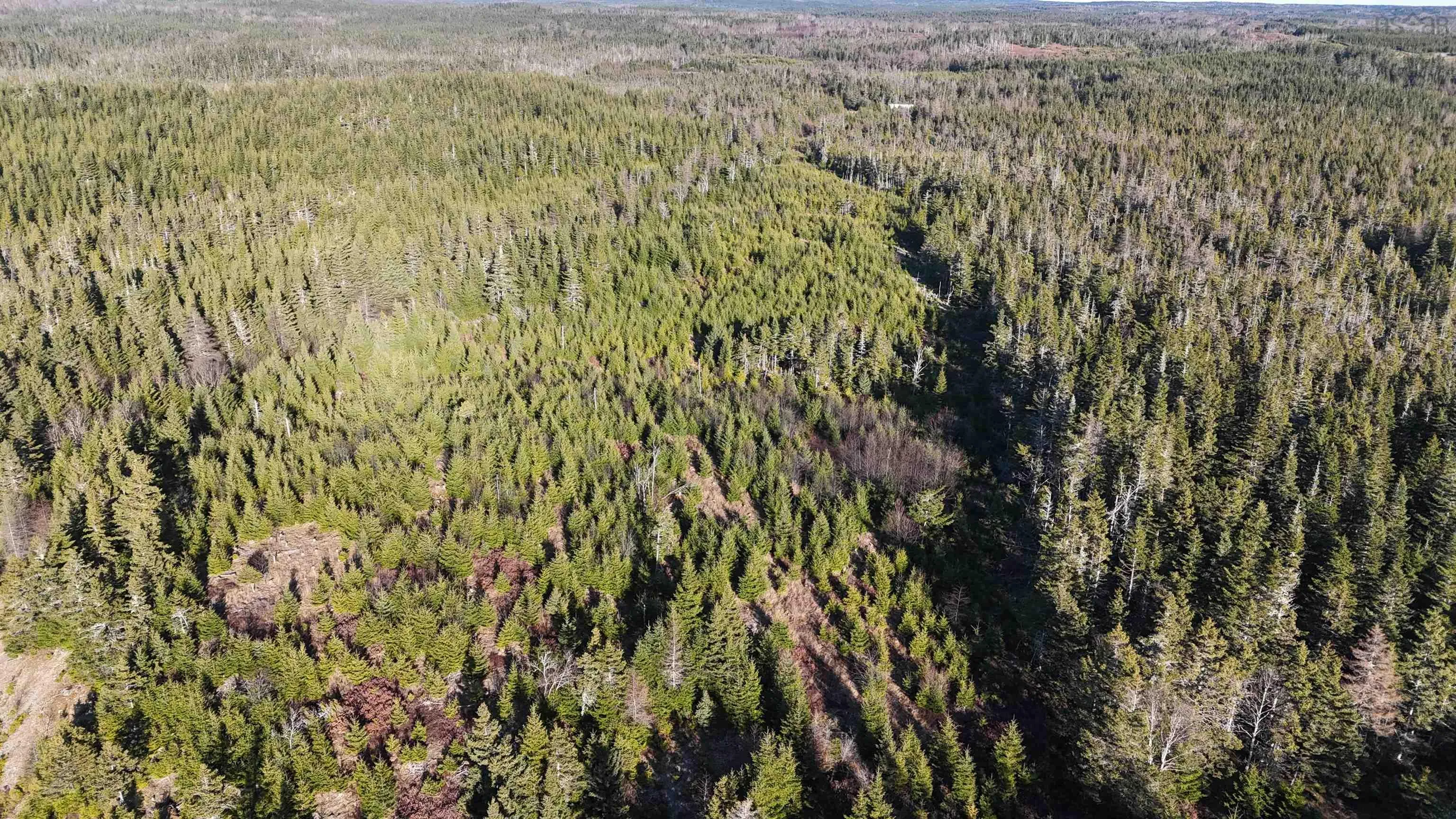401 East Side Grand River Road, Grand River Ns B0e 1m0, ,Land,For Sale,East Side Grand River,202500170