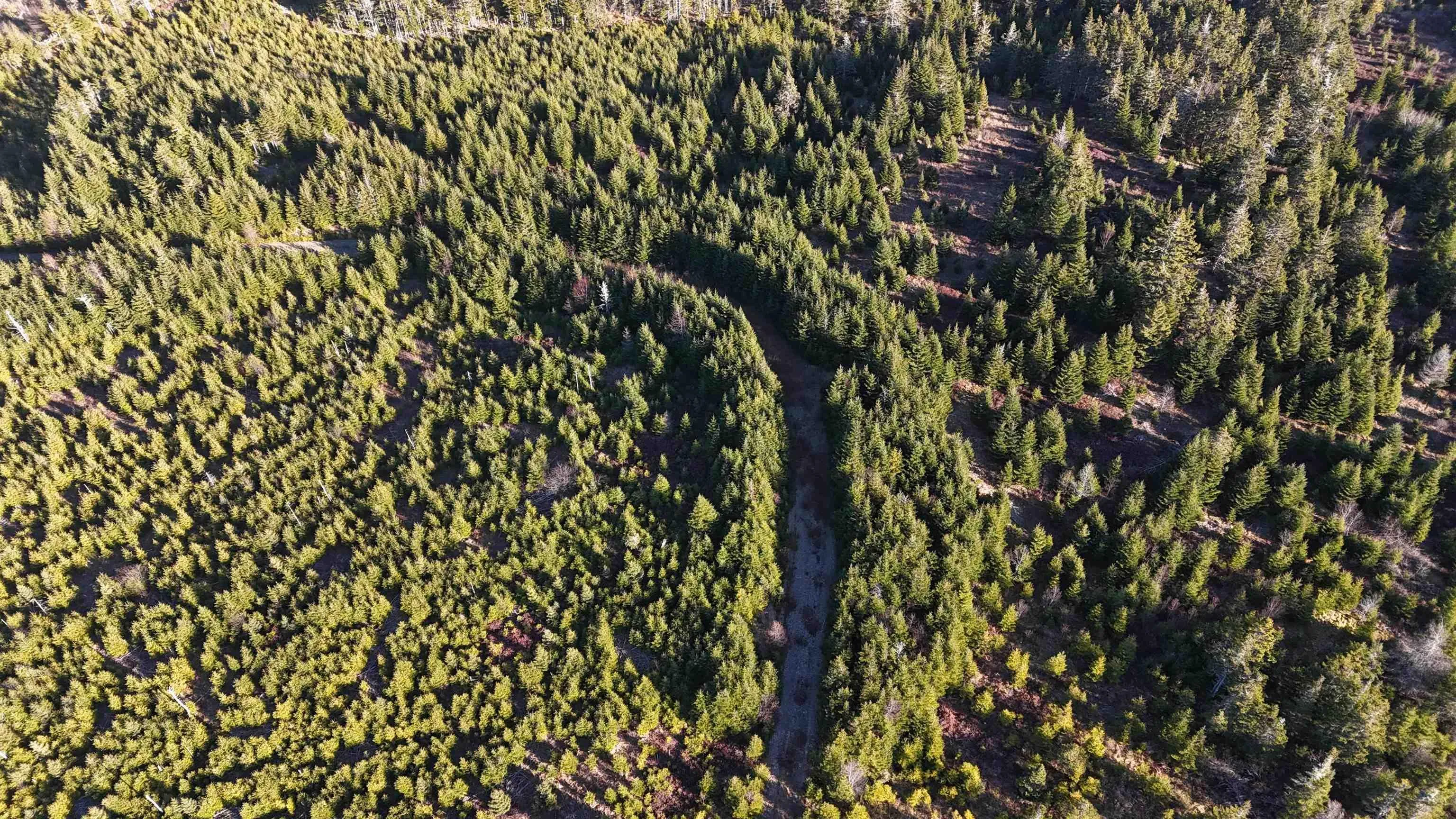 401 East Side Grand River Road, Grand River Ns B0e 1m0, ,Land,For Sale,East Side Grand River,202500170