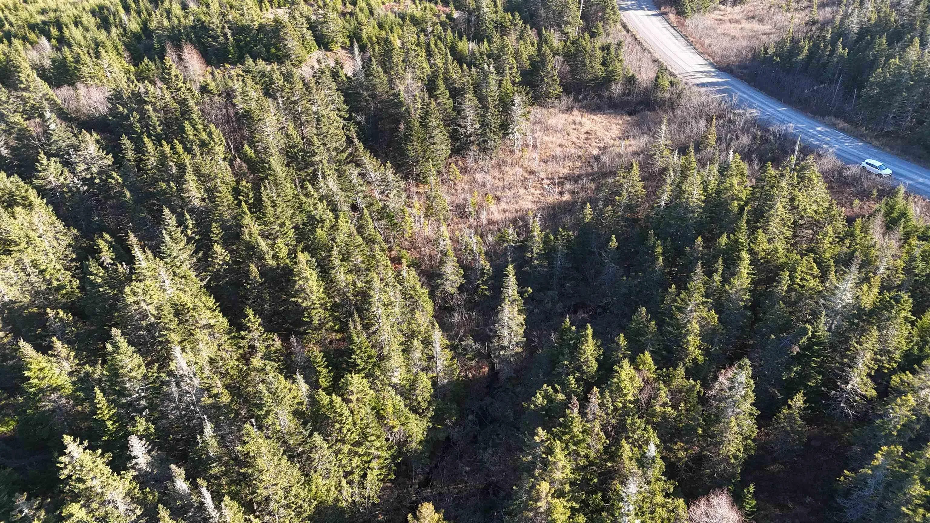 401 East Side Grand River Road, Grand River Ns B0e 1m0, ,Land,For Sale,East Side Grand River,202500170
