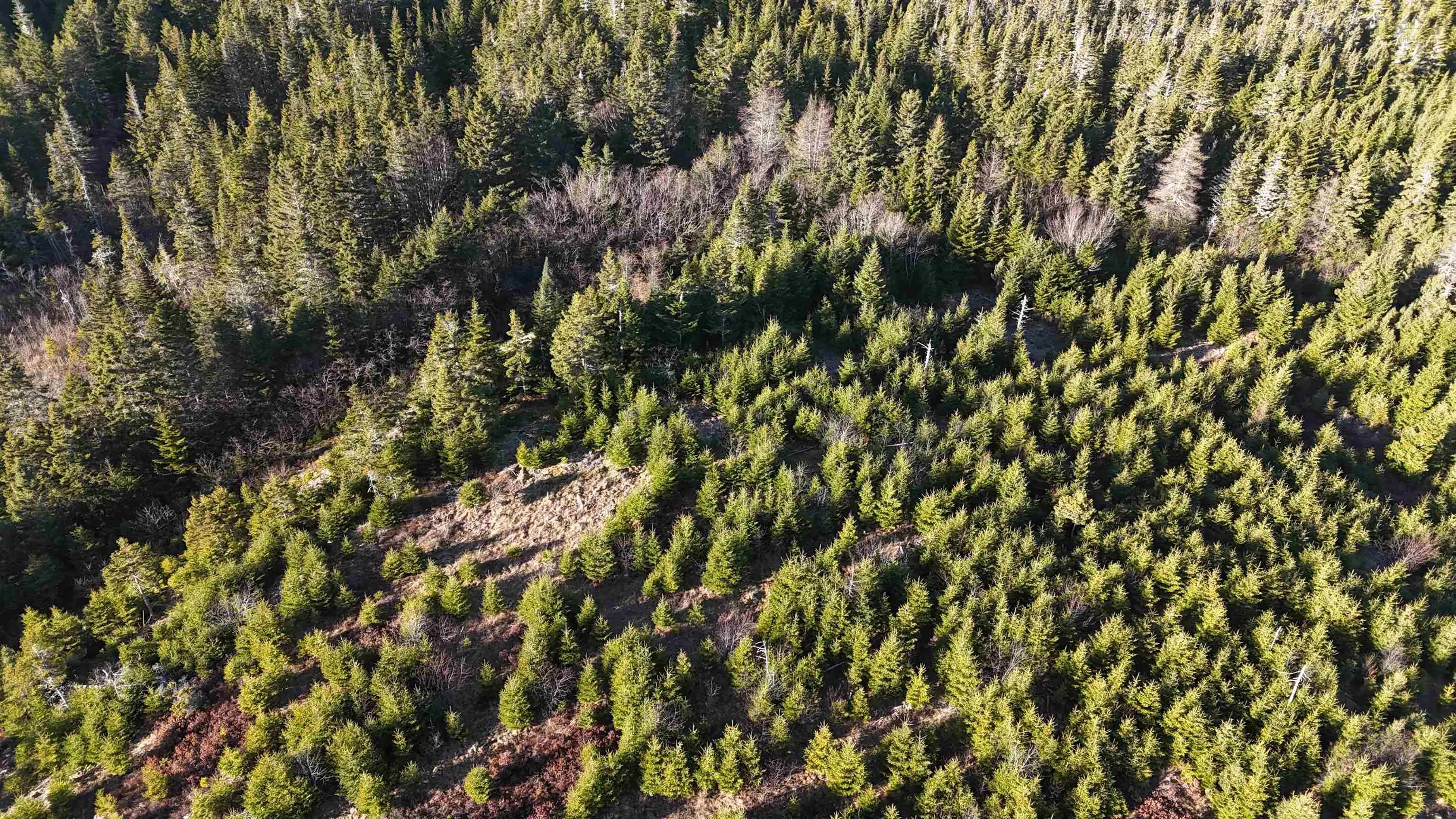 401 East Side Grand River Road, Grand River Ns B0e 1m0, ,Land,For Sale,East Side Grand River,202500170