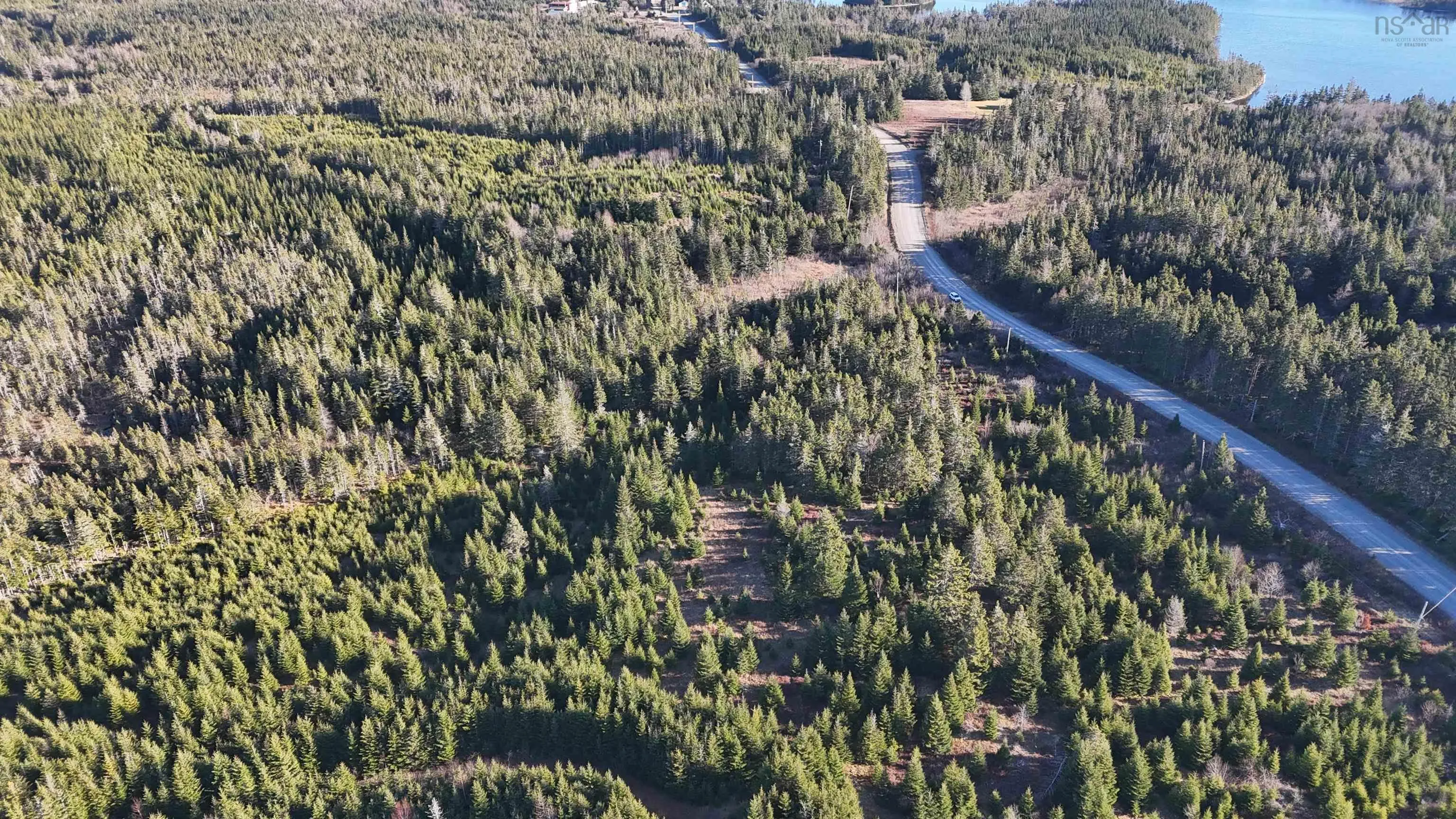 401 East Side Grand River Road, Grand River Ns B0e 1m0, ,Land,For Sale,East Side Grand River,202500170