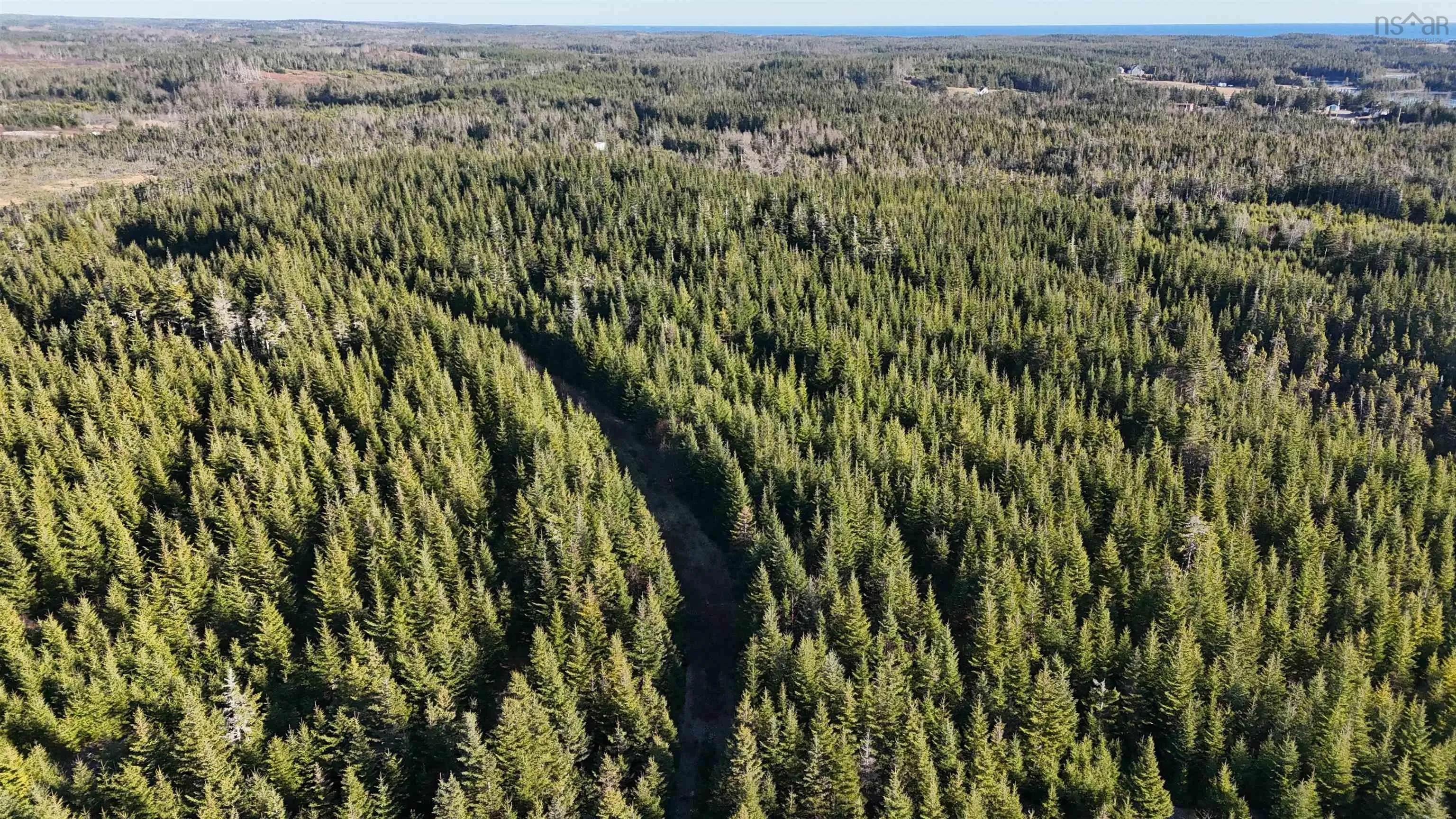401 East Side Grand River Road, Grand River Ns B0e 1m0, ,Land,For Sale,East Side Grand River,202500170