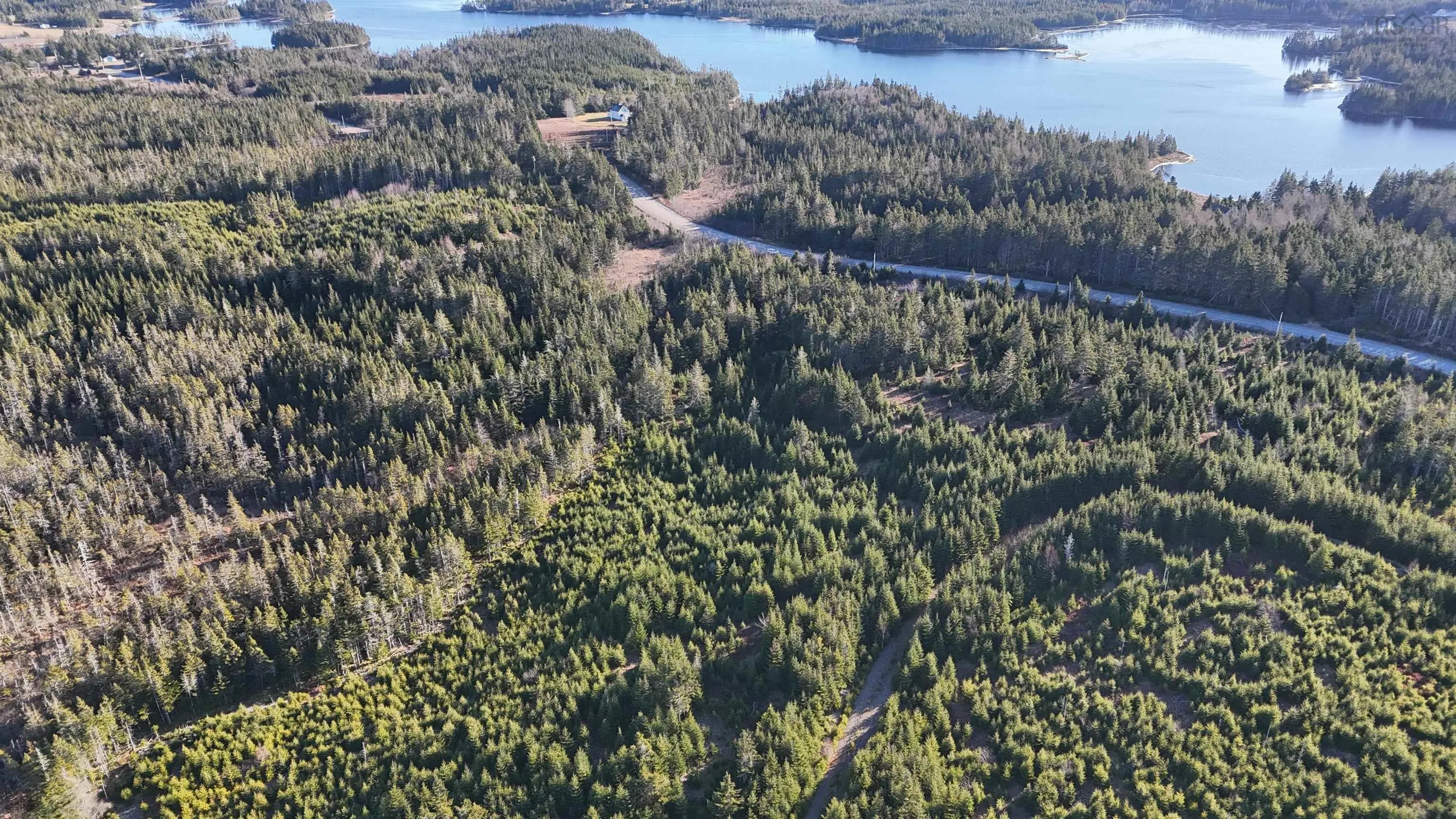 401 East Side Grand River Road, Grand River Ns B0e 1m0, ,Land,For Sale,East Side Grand River,202500170