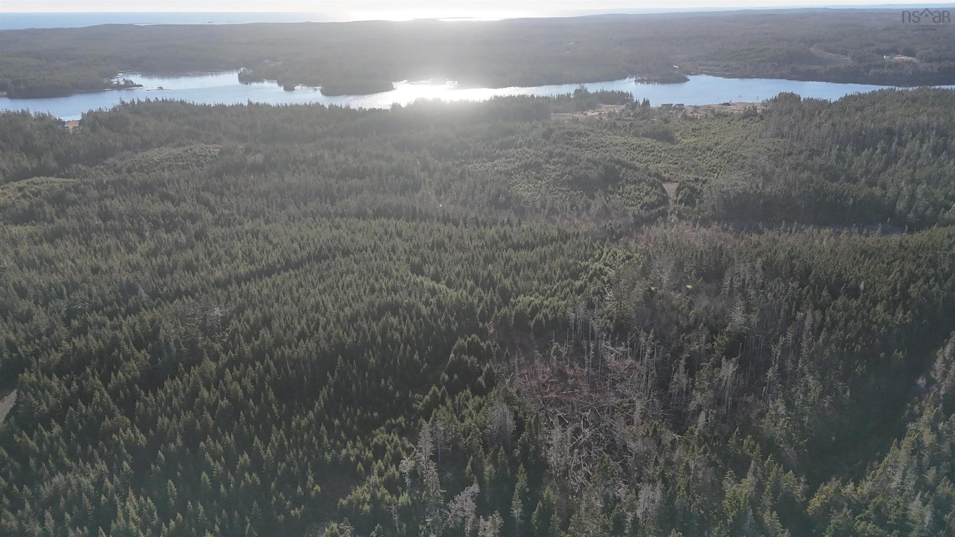 401 East Side Grand River Road, Grand River Ns B0e 1m0, ,Land,For Sale,East Side Grand River,202500170