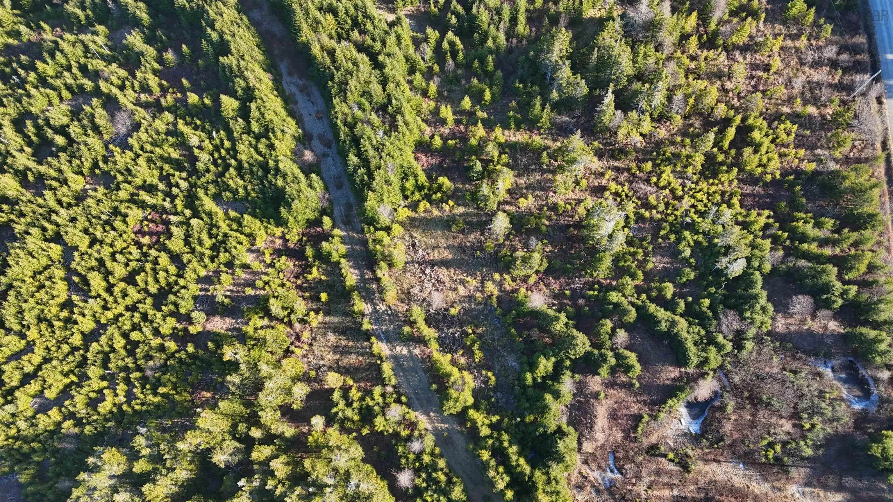 401 East Side Grand River Road, Grand River Ns B0e 1m0, ,Land,For Sale,East Side Grand River,202500170