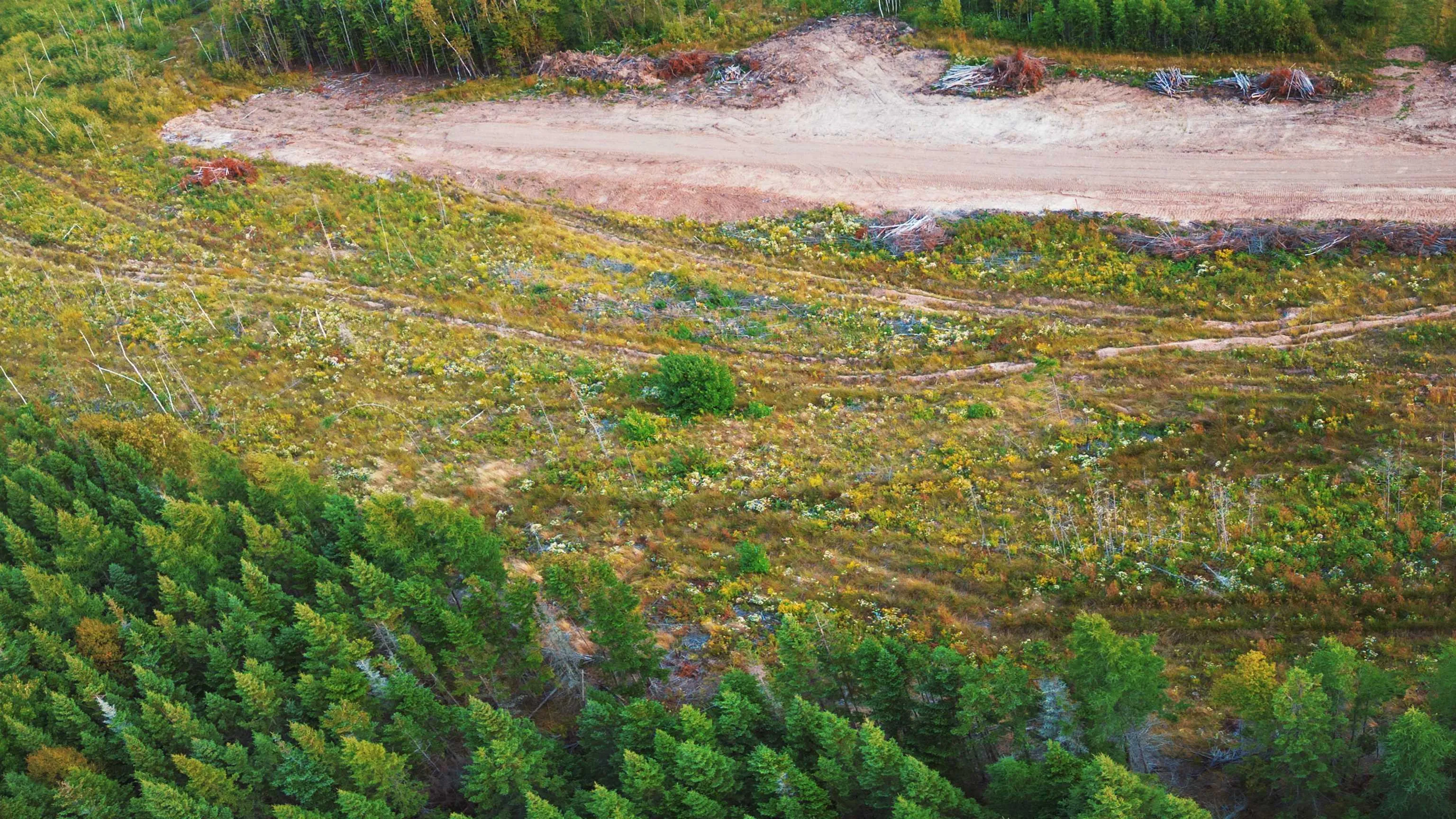 Blue Goose Drive, Harbourview Ns B0e 2w0, ,Land,For Sale,Blue Goose,202500938