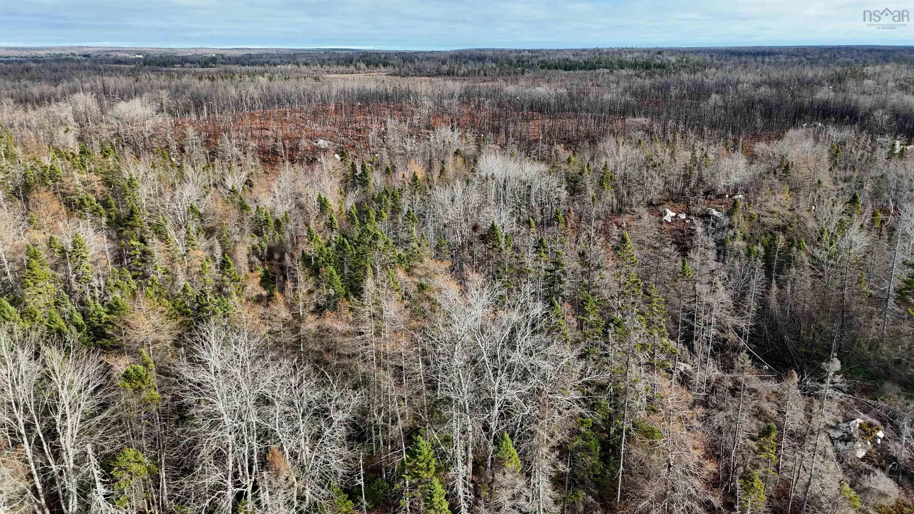 Lots Port Latour Road, Port Clyde, NS B0W 3N0, ,Land,For Sale,Port Latour,202521488