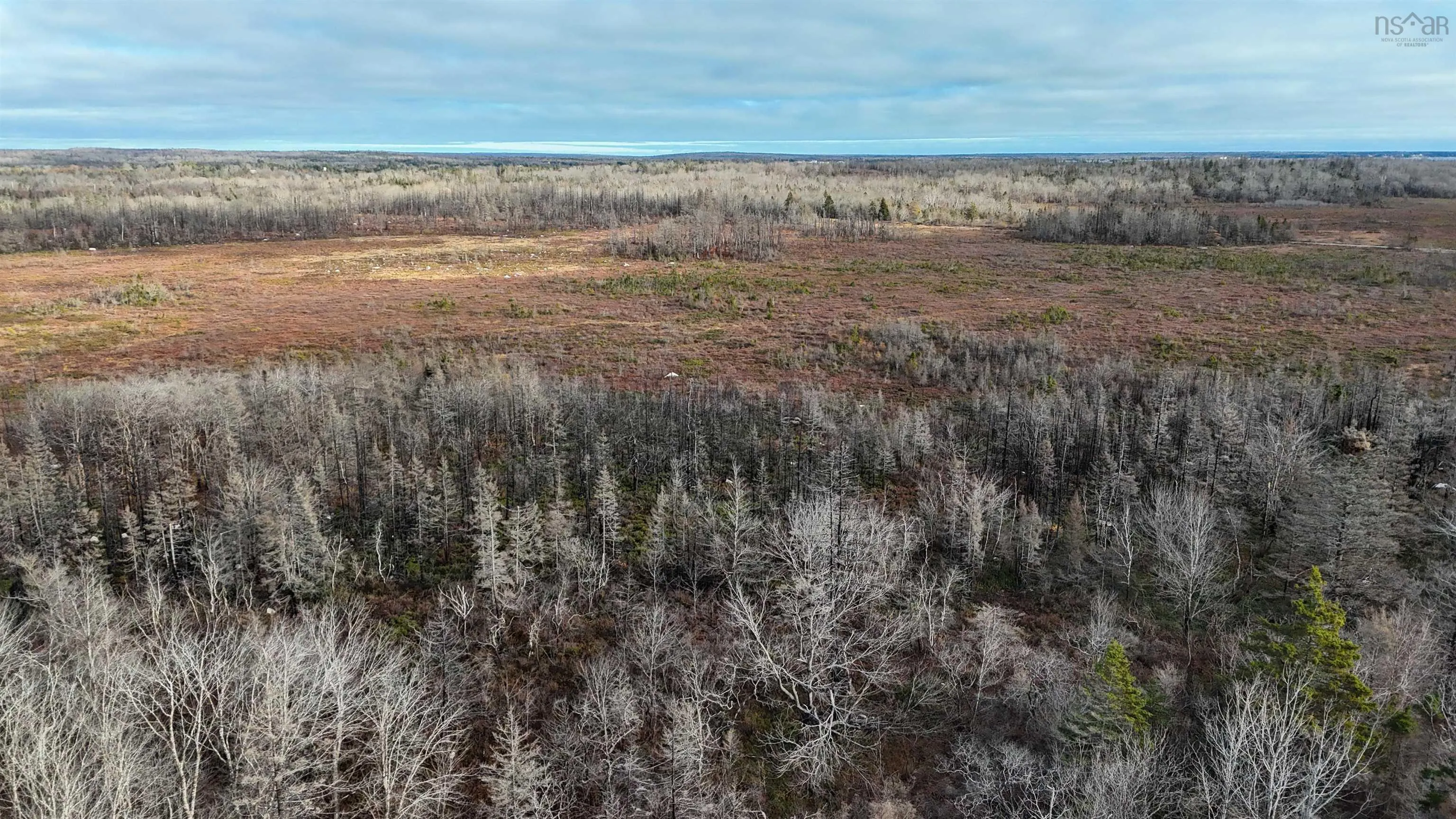 Lots Port Latour Road, Port Clyde, NS B0W 3N0, ,Land,For Sale,Port Latour,202521488