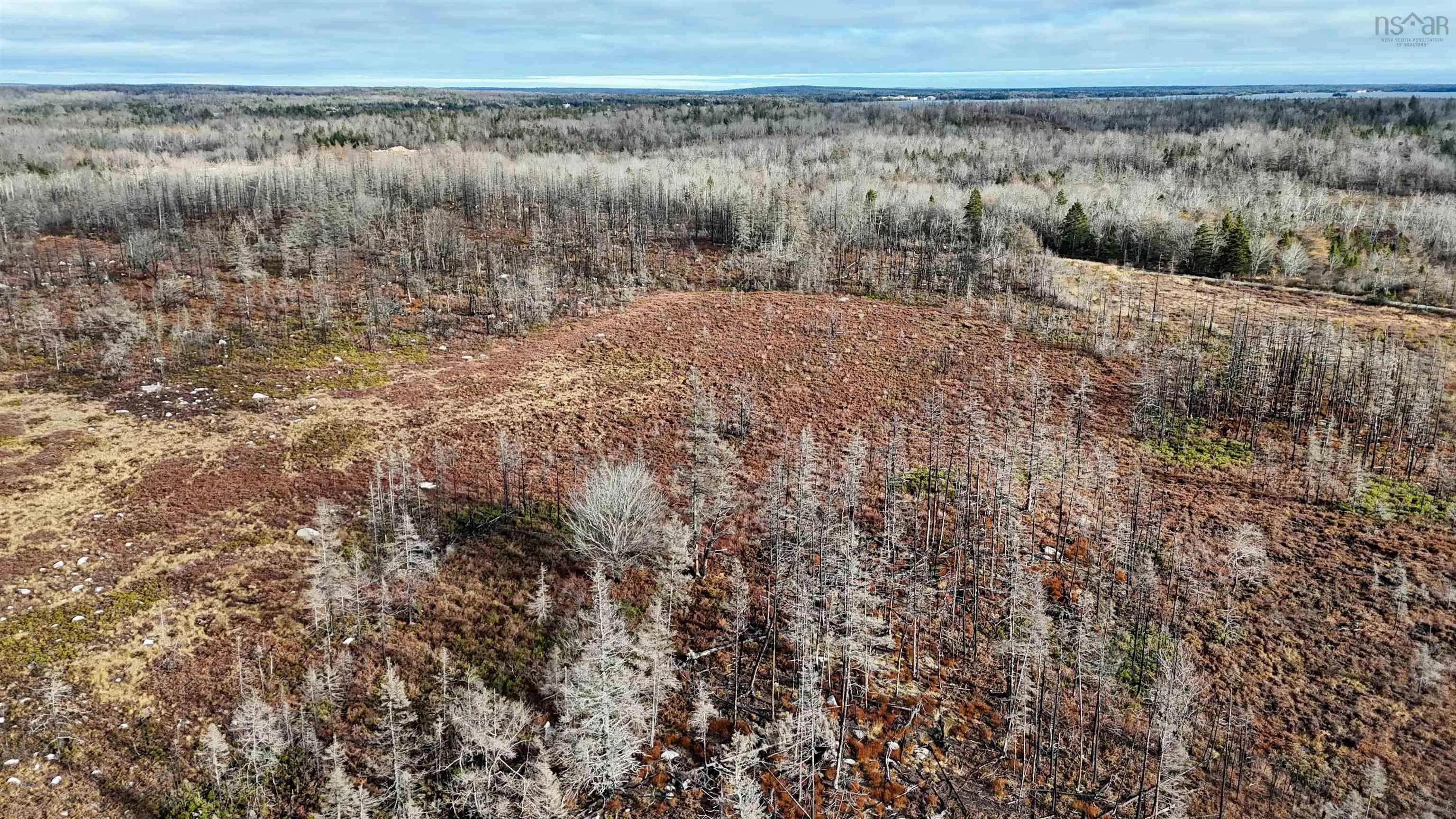Lots Port Latour Road, Port Clyde, NS B0W 3N0, ,Land,For Sale,Port Latour,202521488