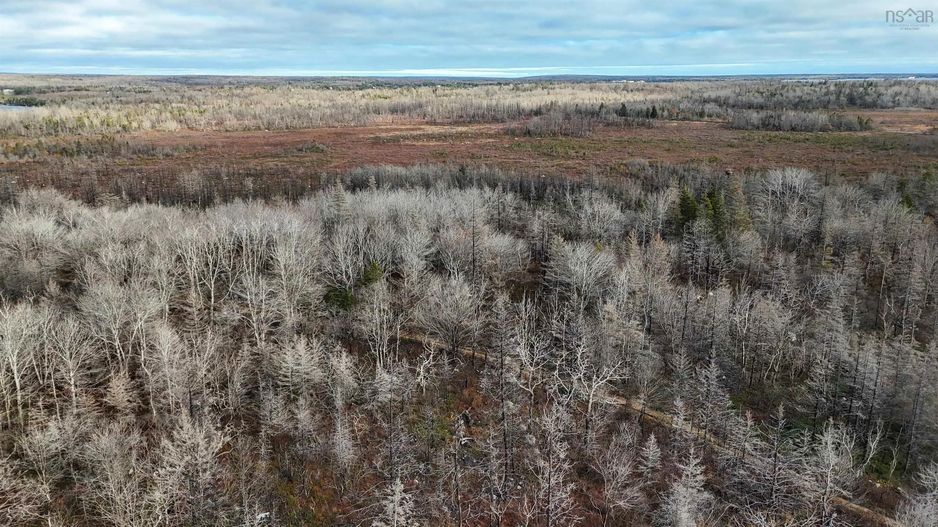 Lots Port Latour Road, Port Clyde, NS B0W 3N0, ,Land,For Sale,Port Latour,202521488