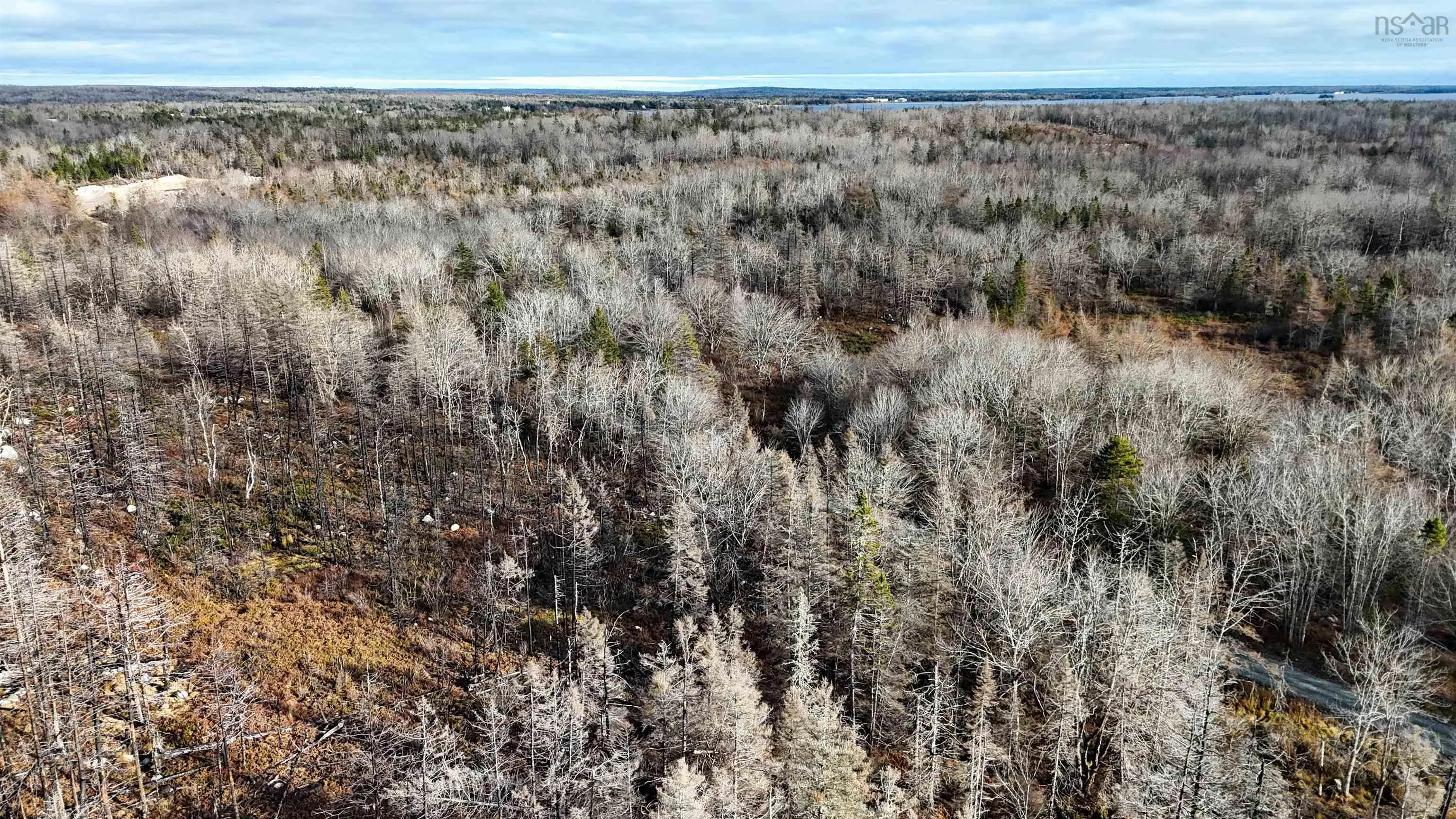Lots Port Latour Road, Port Clyde, NS B0W 3N0, ,Land,For Sale,Port Latour,202521488