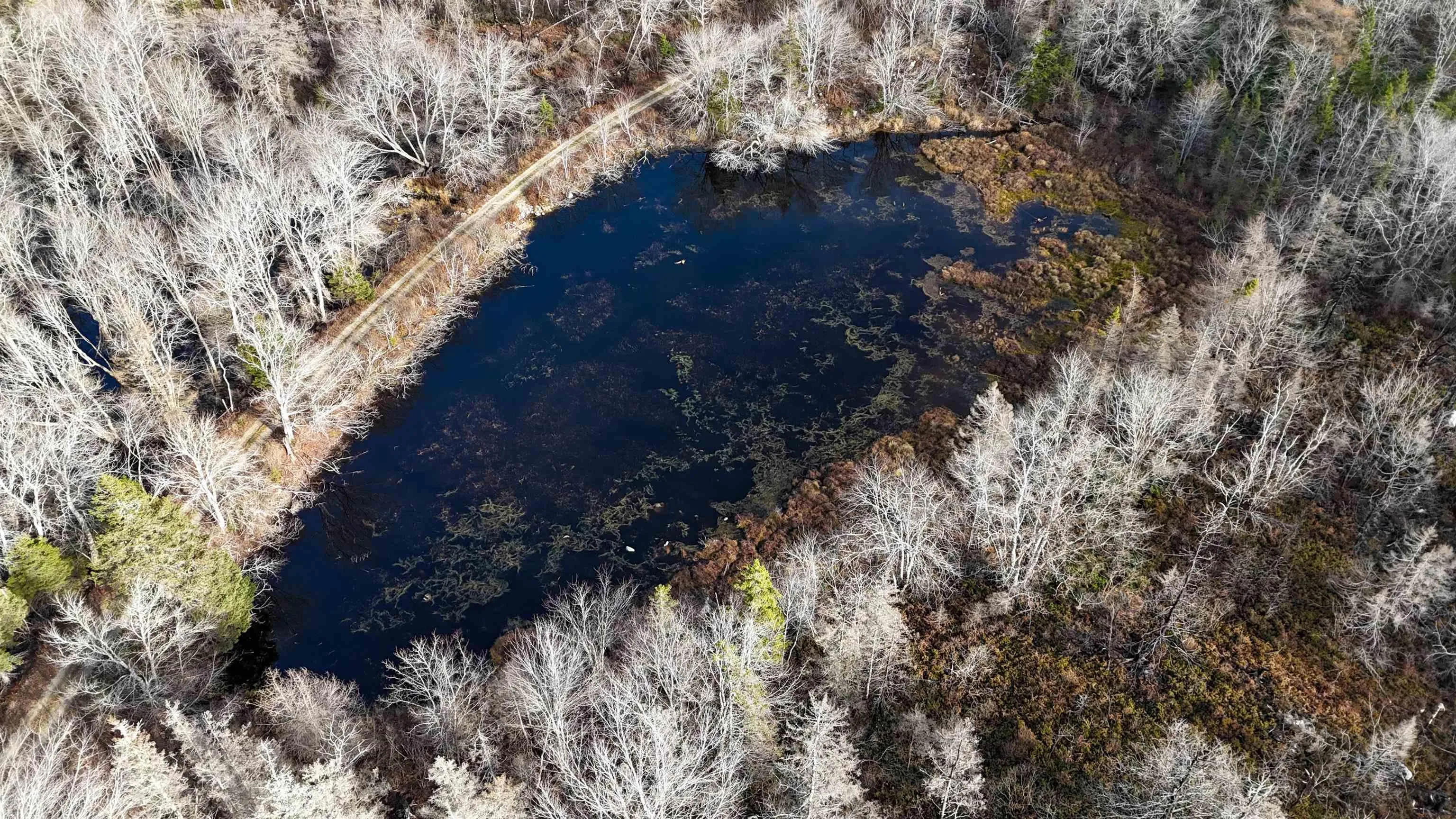 Lots Port Latour Road, Port Clyde, NS B0W 3N0, ,Land,For Sale,Port Latour,202521488