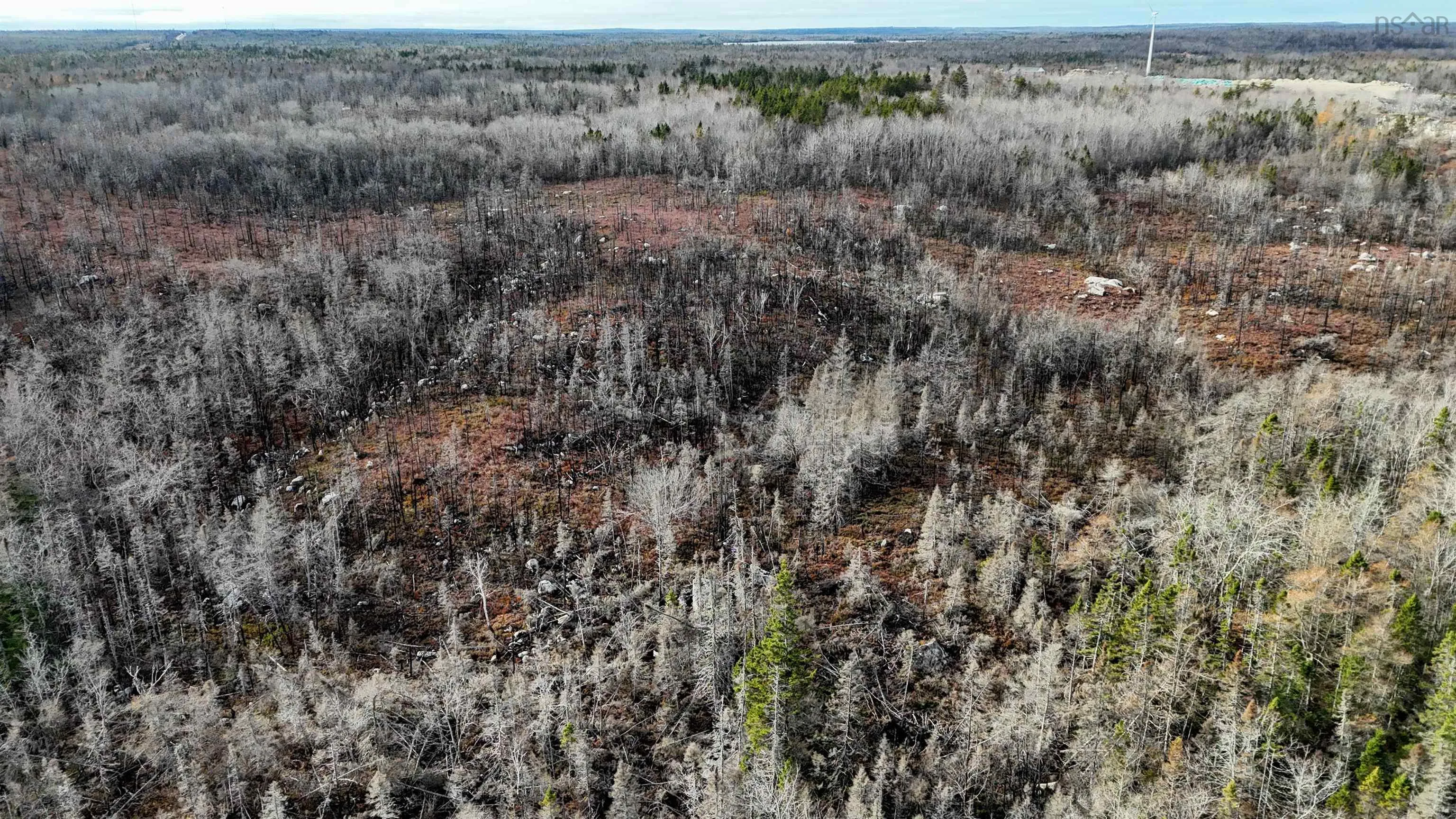 Lots Port Latour Road, Port Clyde, NS B0W 3N0, ,Land,For Sale,Port Latour,202521488