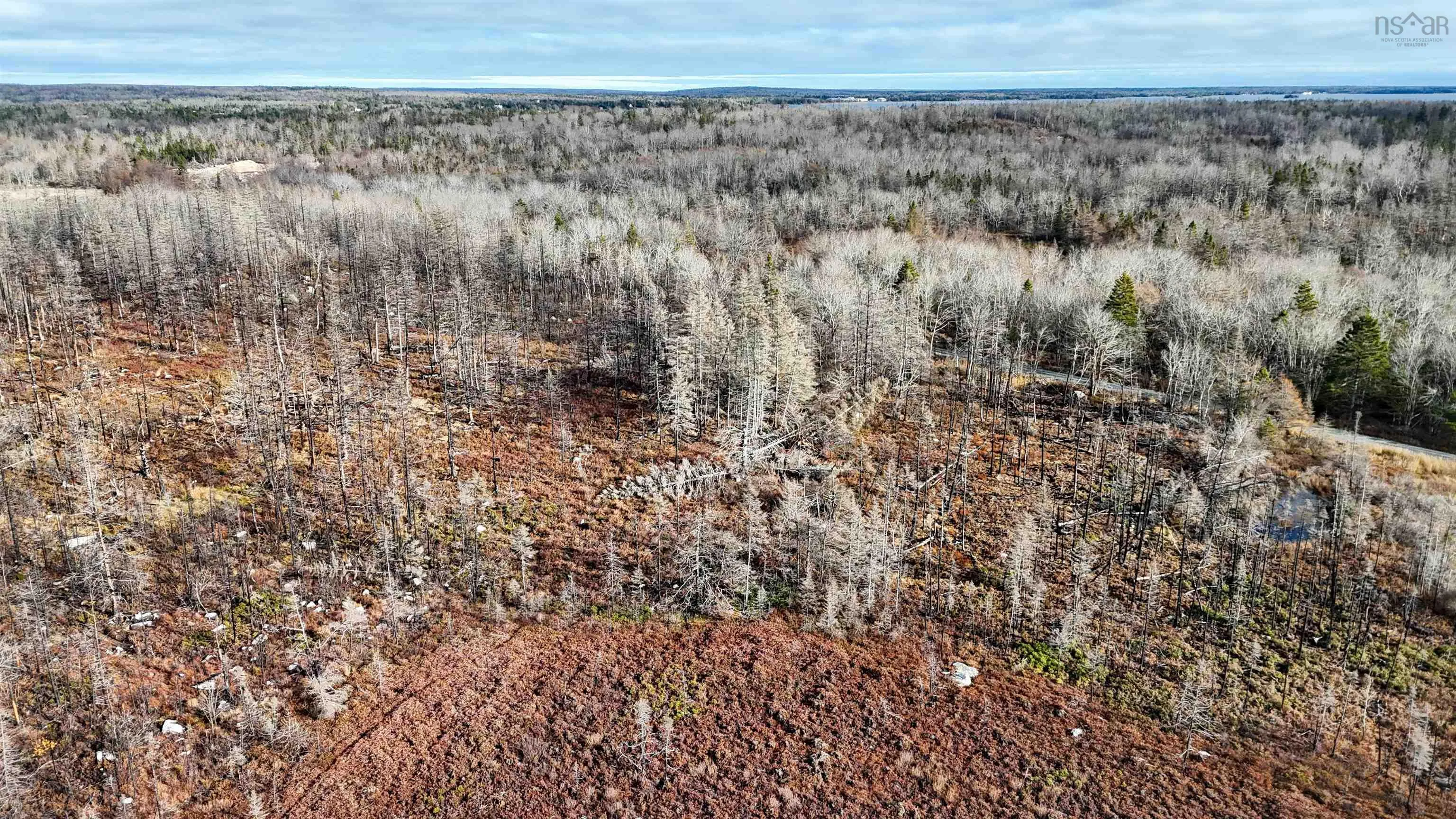 Lots Port Latour Road, Port Clyde, NS B0W 3N0, ,Land,For Sale,Port Latour,202521488