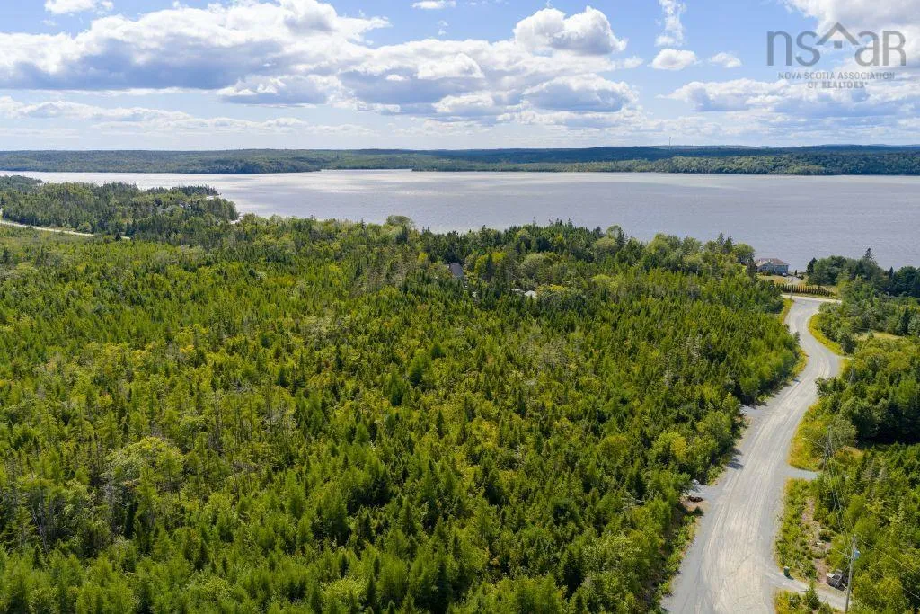 Lot 6 Birchwood Lane, Ostrea Lake, NS B0J 2L0, ,Land,For Sale,Birchwood,202521432