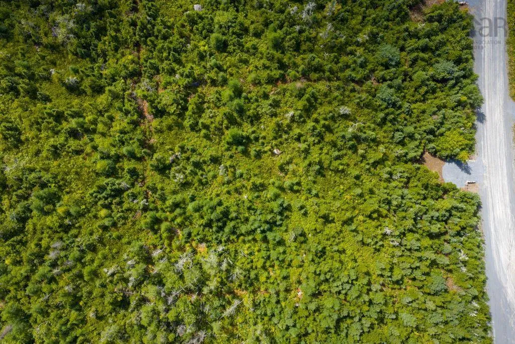 Lot 6 Birchwood Lane, Ostrea Lake, NS B0J 2L0, ,Land,For Sale,Birchwood,202521432