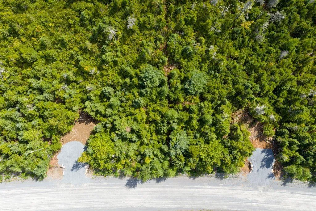 Lot 6 Birchwood Lane, Ostrea Lake, NS B0J 2L0, ,Land,For Sale,Birchwood,202521432