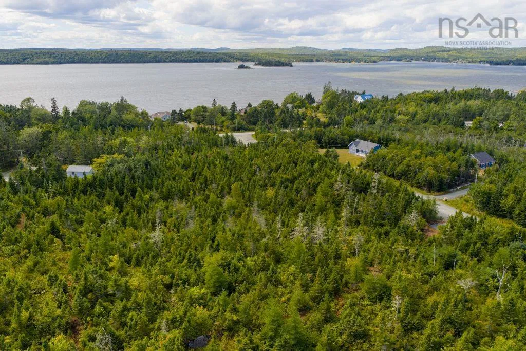 Lot 6 Birchwood Lane, Ostrea Lake, NS B0J 2L0, ,Land,For Sale,Birchwood,202521432