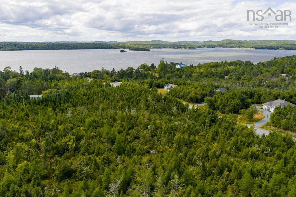 Lot 6 Birchwood Lane, Ostrea Lake, NS B0J 2L0, ,Land,For Sale,Birchwood,202521432