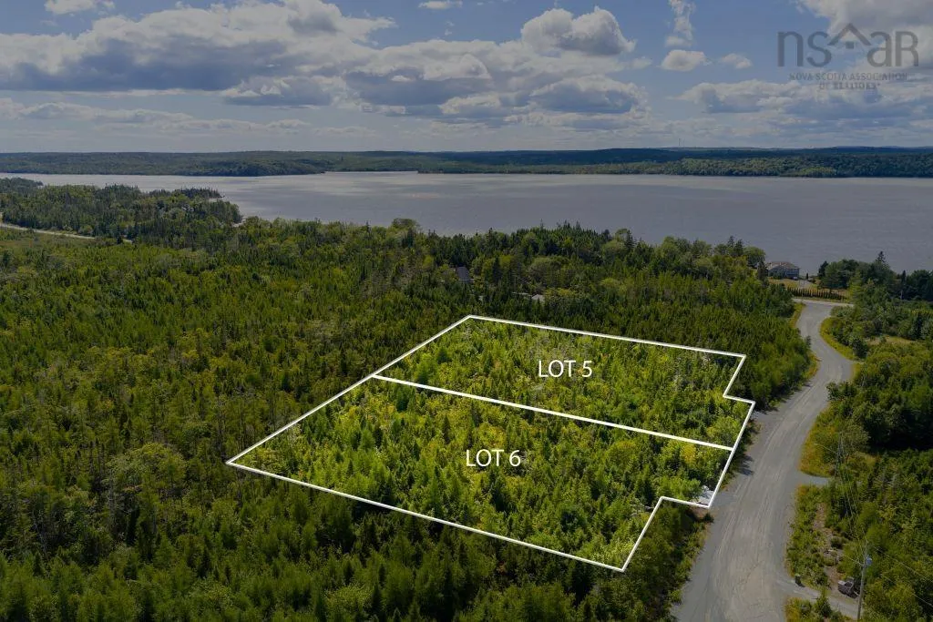 Lot 6 Birchwood Lane, Ostrea Lake, NS B0J 2L0, ,Land,For Sale,Birchwood,202521432