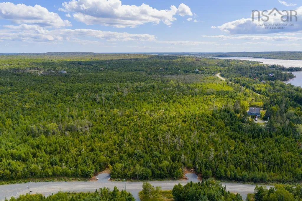 Lot 6 Birchwood Lane, Ostrea Lake, NS B0J 2L0, ,Land,For Sale,Birchwood,202521432