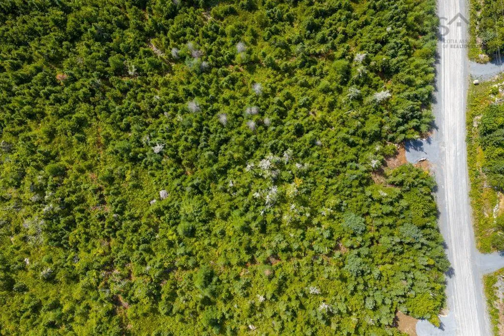 Lot 6 Birchwood Lane, Ostrea Lake, NS B0J 2L0, ,Land,For Sale,Birchwood,202521432