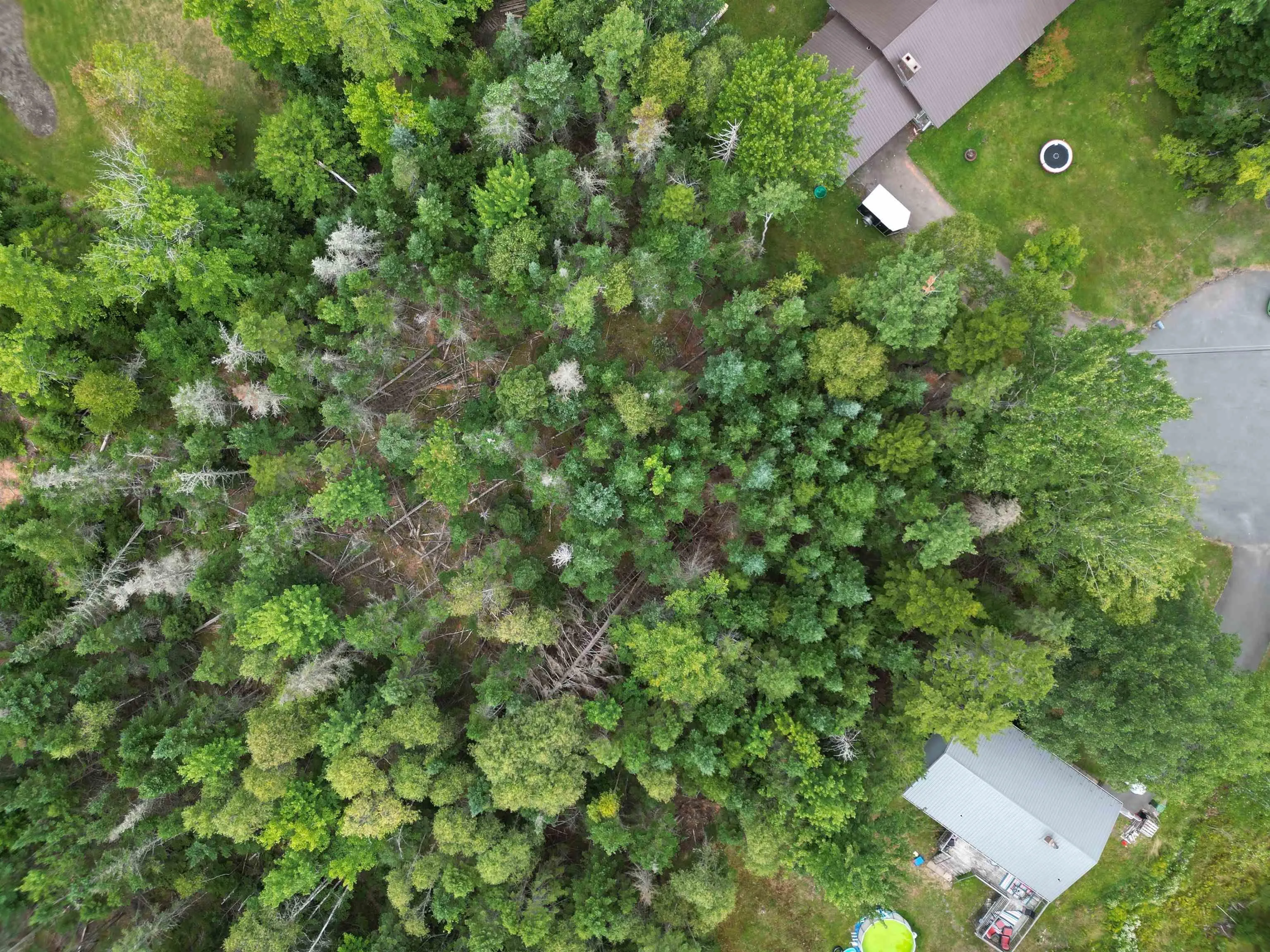 81a First Court, Valley, NS B6L 2G7, ,Land,For Sale,First,202521873