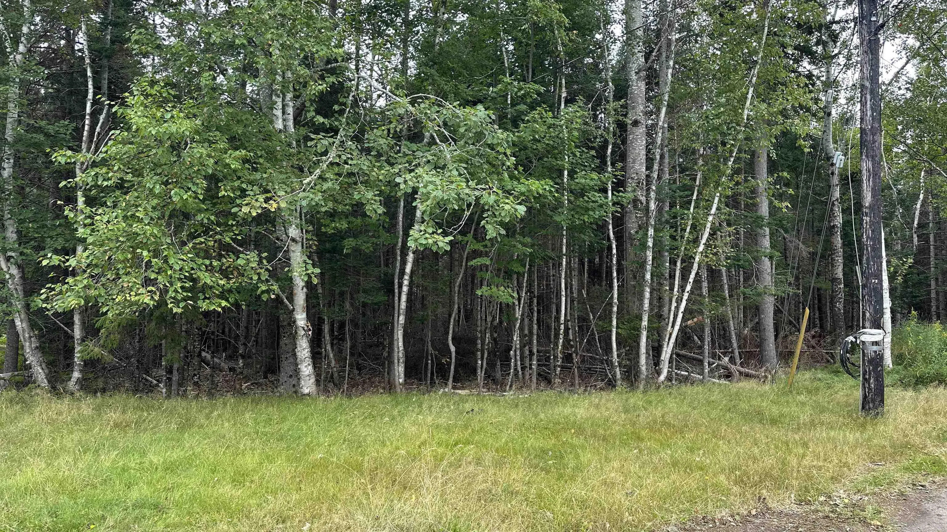 81a First Court, Valley, NS B6L 2G7, ,Land,For Sale,First,202521873