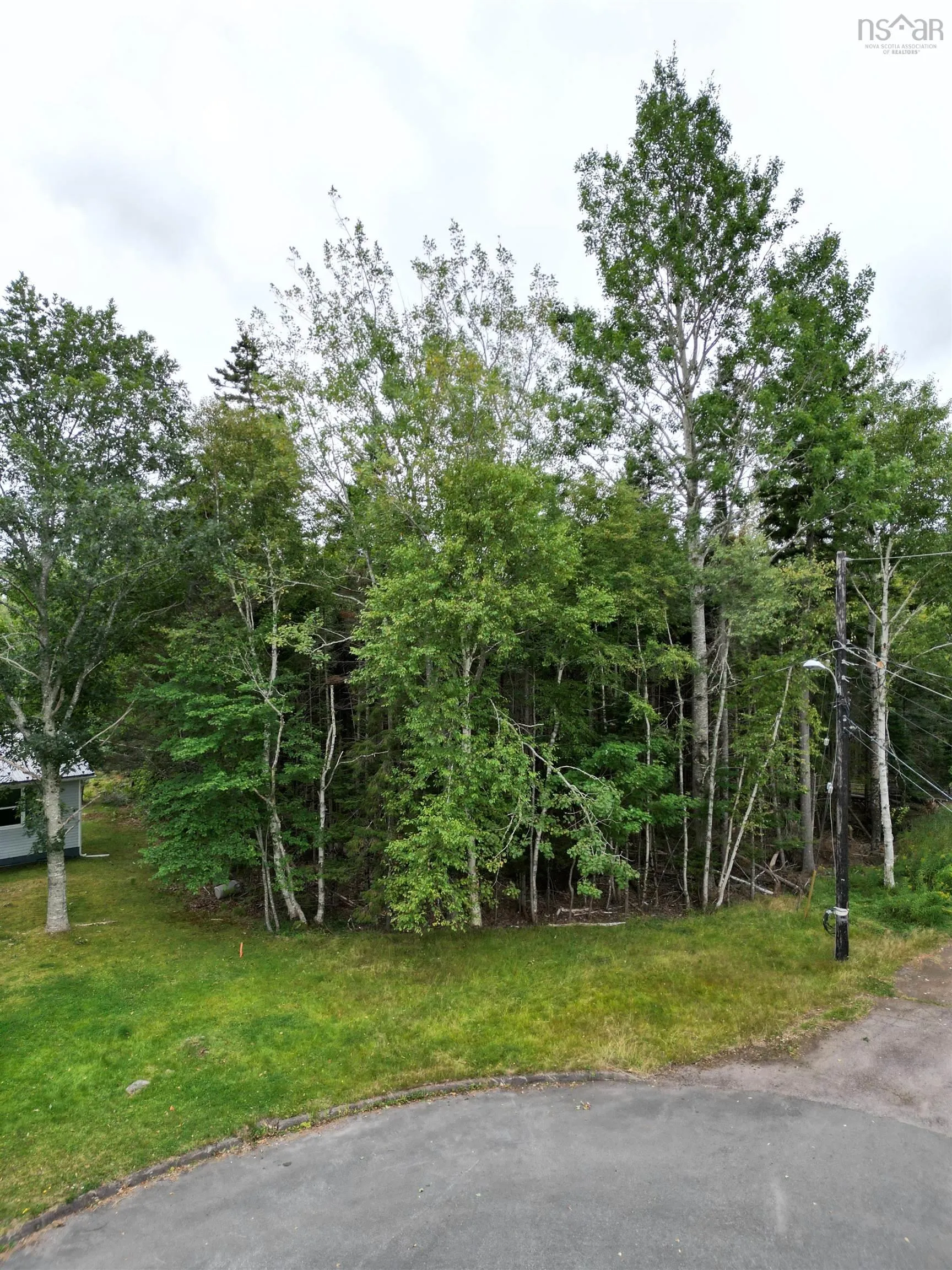 81a First Court, Valley, NS B6L 2G7, ,Land,For Sale,First,202521873