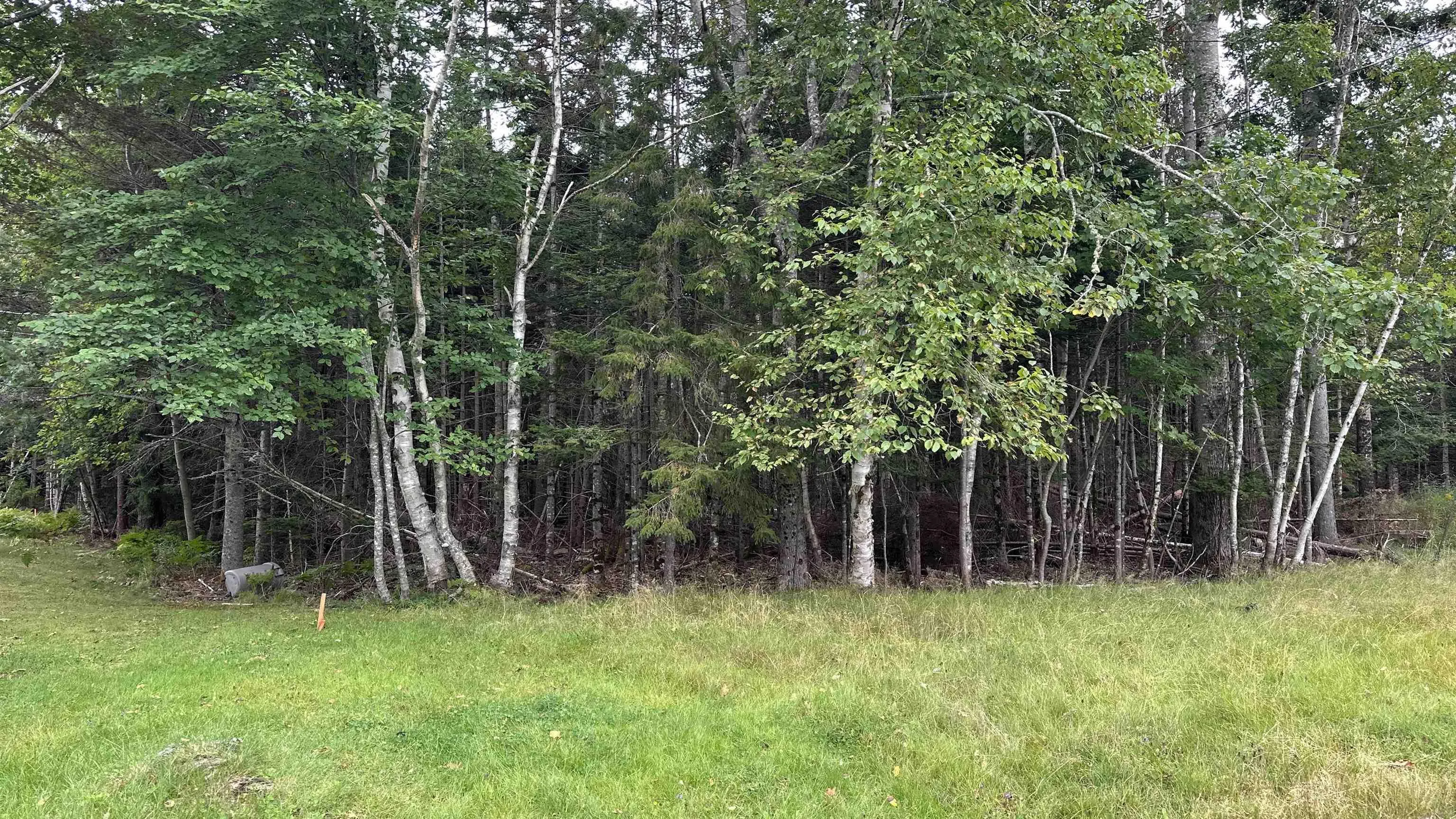 81a First Court, Valley, NS B6L 2G7, ,Land,For Sale,First,202521873