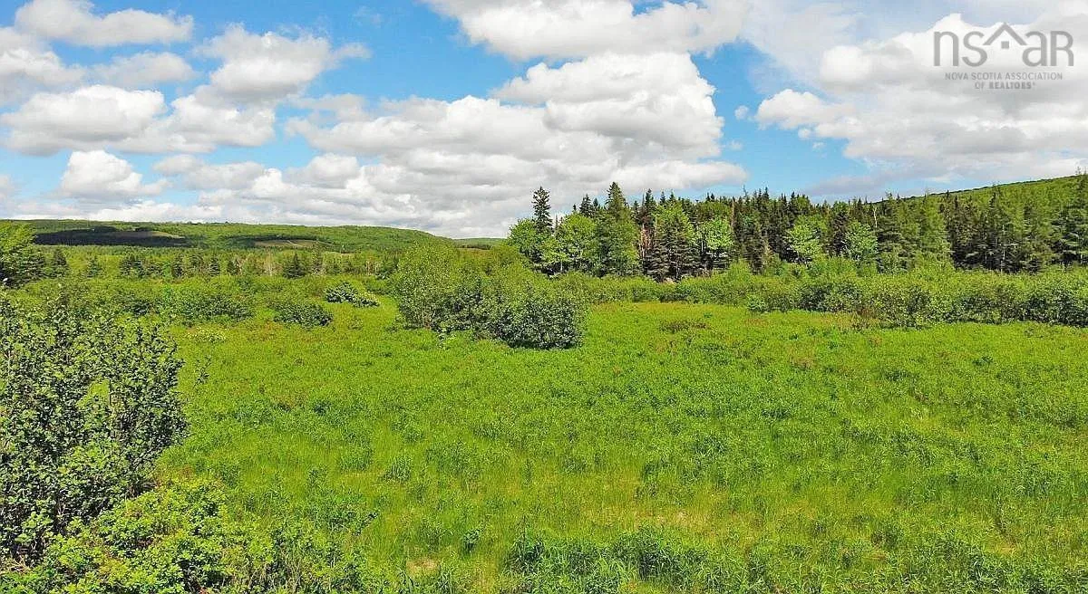 62 Acres West Side Road, West Side Country Harbour Ns B0h 1j0, ,Land,For Sale,West Side,202407283