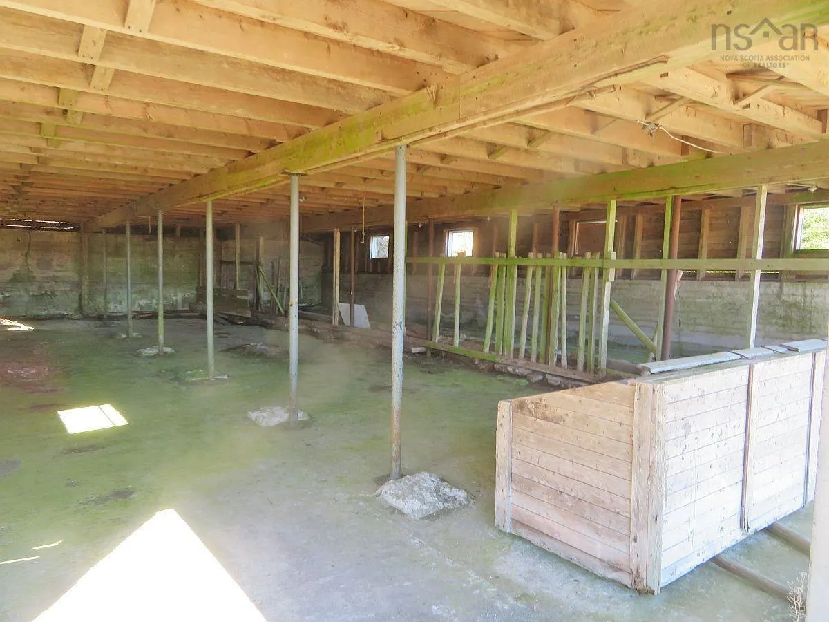 62 Acres West Side Road, West Side Country Harbour Ns B0h 1j0, ,Land,For Sale,West Side,202407283