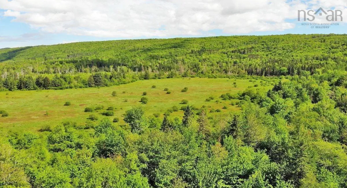62 Acres West Side Road, West Side Country Harbour Ns B0h 1j0, ,Land,For Sale,West Side,202407283
