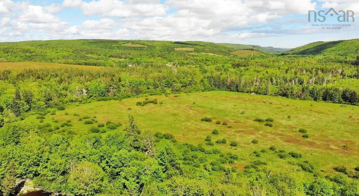 62 Acres West Side Road, West Side Country Harbour Ns B0h 1j0, ,Land,For Sale,West Side,202407283