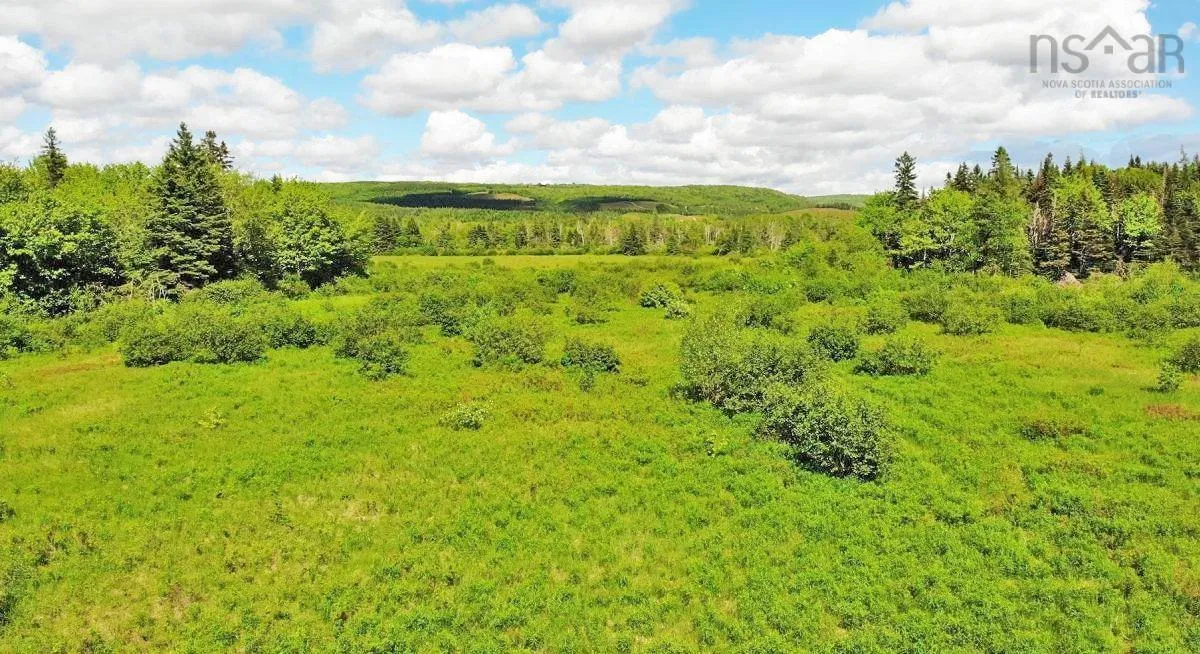 62 Acres West Side Road, West Side Country Harbour Ns B0h 1j0, ,Land,For Sale,West Side,202407283