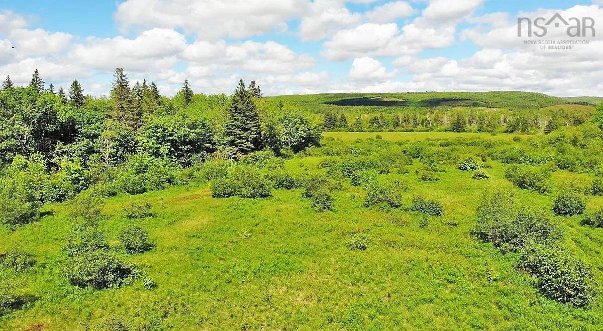 62 Acres West Side Road, West Side Country Harbour Ns B0h 1j0, ,Land,For Sale,West Side,202407283