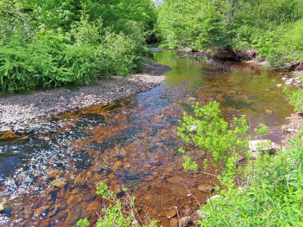 62 Acres West Side Road, West Side Country Harbour Ns B0h 1j0, ,Land,For Sale,West Side,202407283